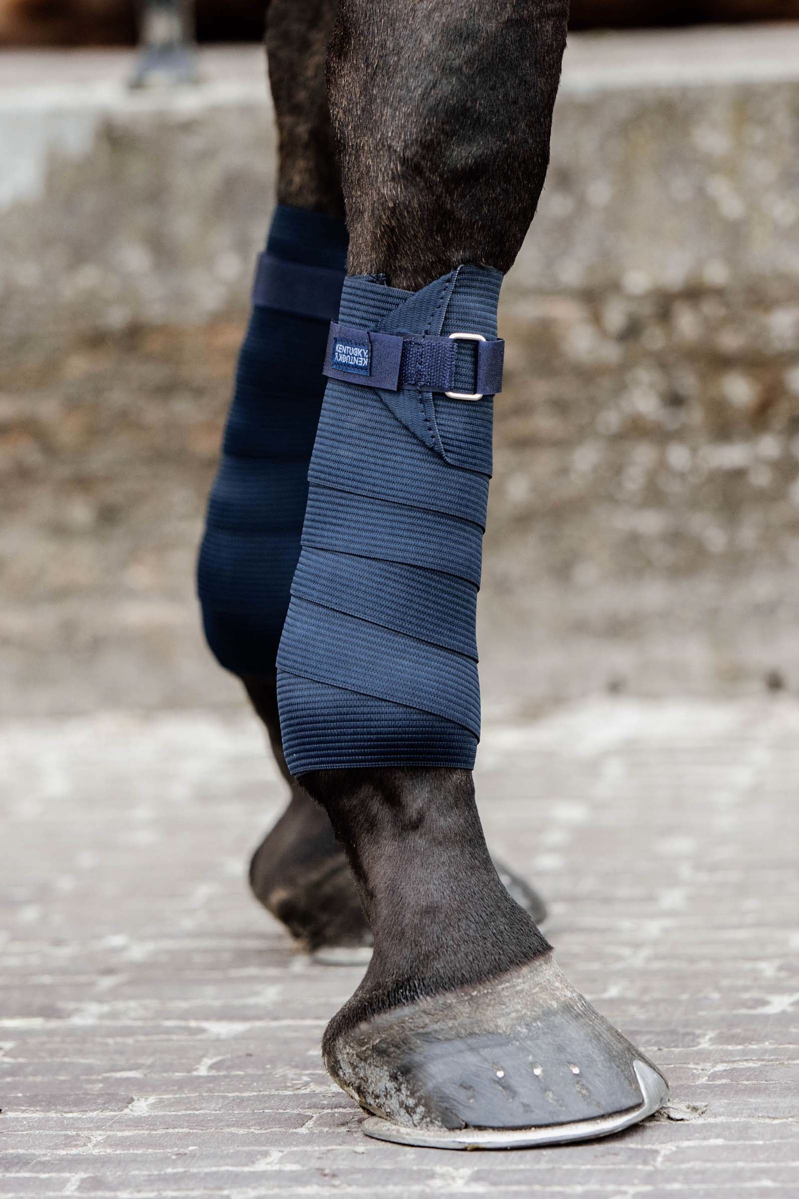 Kentucky Horsewear Pile polare e bendaggio elastico Leg Protection & Hoof Protection for Horses