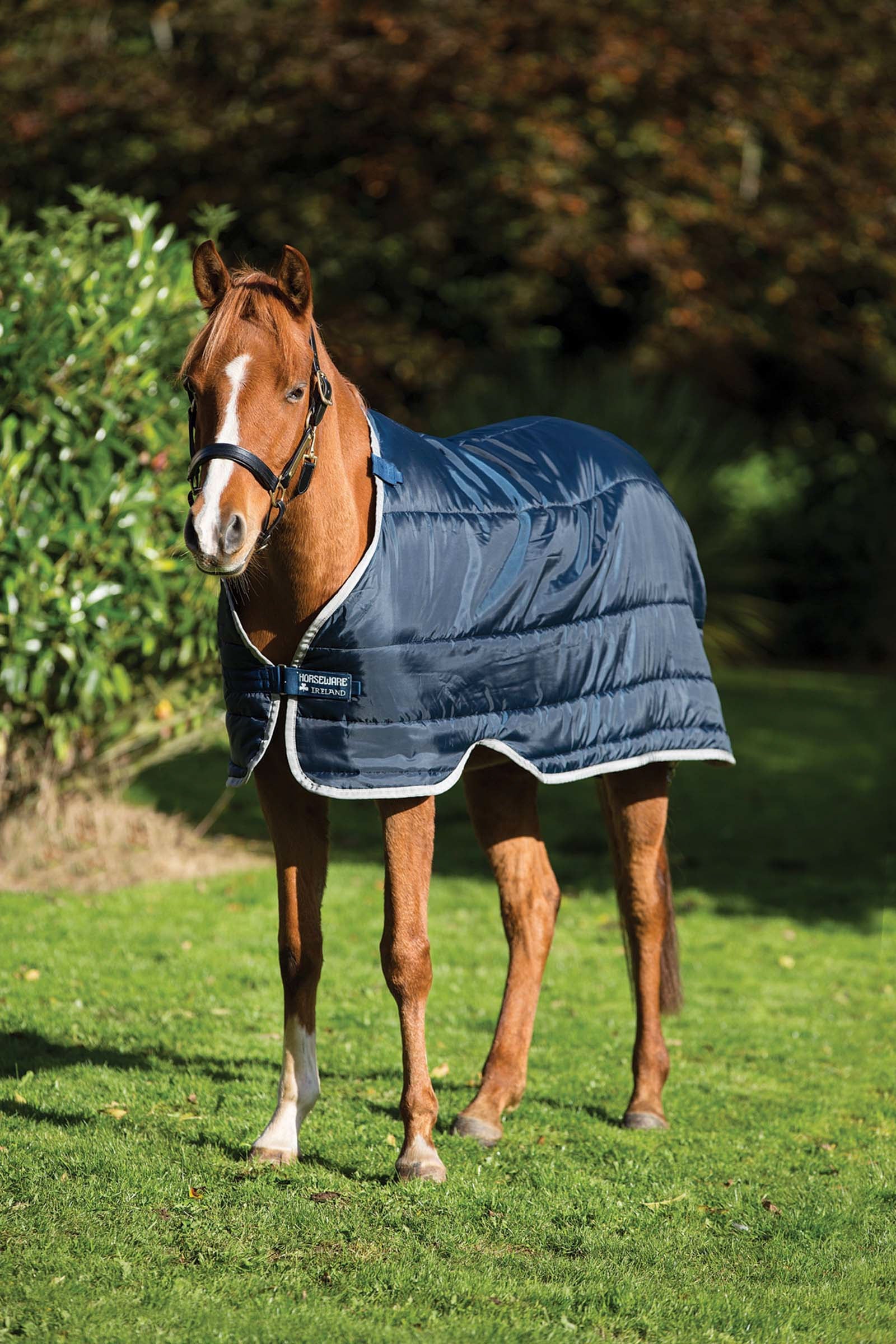 Horseware Pony Under Rug, 200g Coperte per cavalli