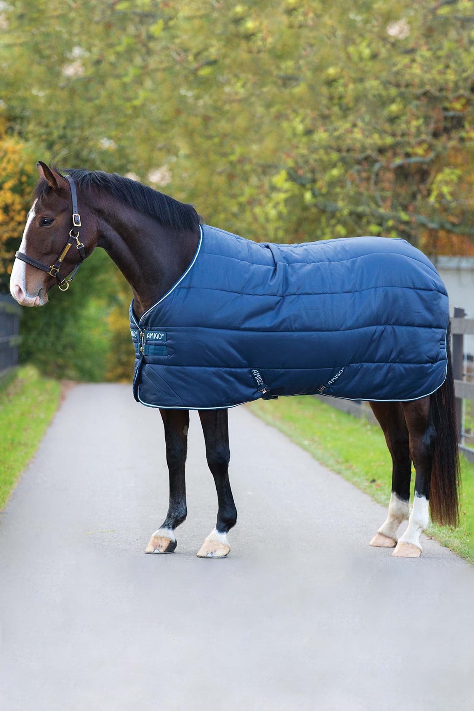 Horseware Amigo Insulator coperta da stalla, 100g Coperte per cavalli