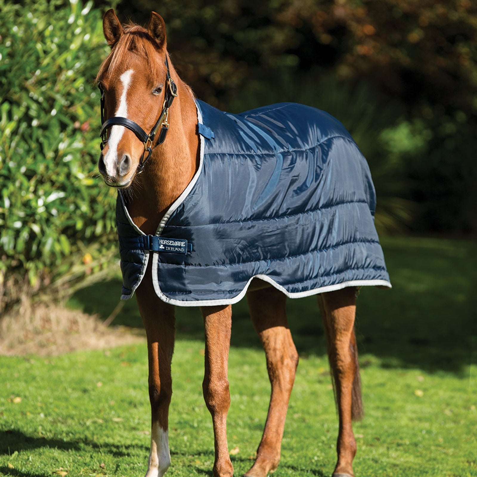 Horseware Pony Under Rug, 100g Coperte per cavalli