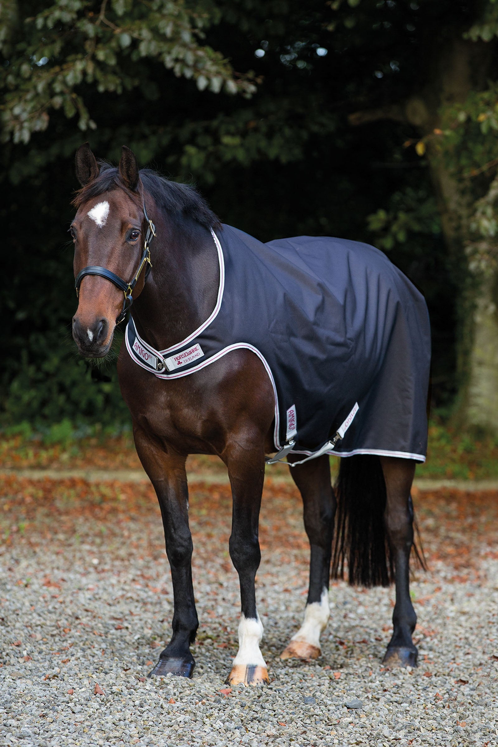 Horseware Amigo coperta da walker, 100g Coperte per cavalli