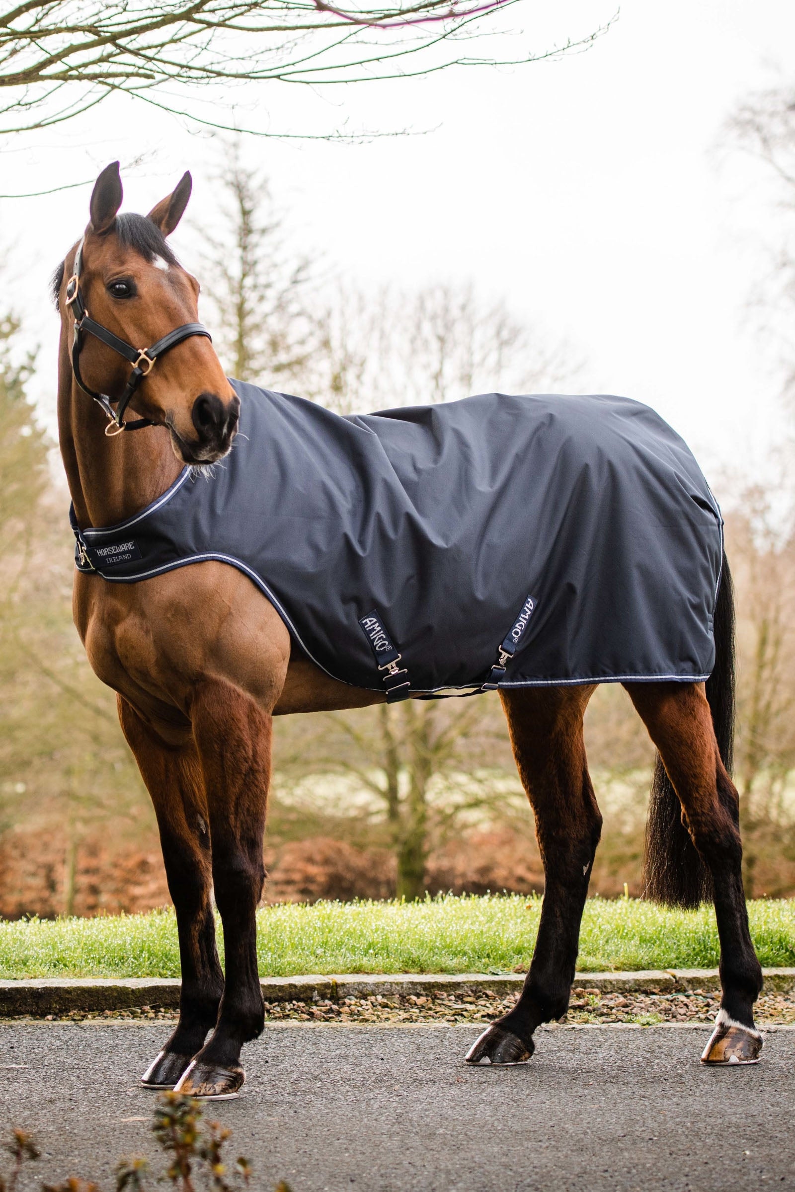 Horseware Amigo coperta da walker, 100g Coperte per cavalli