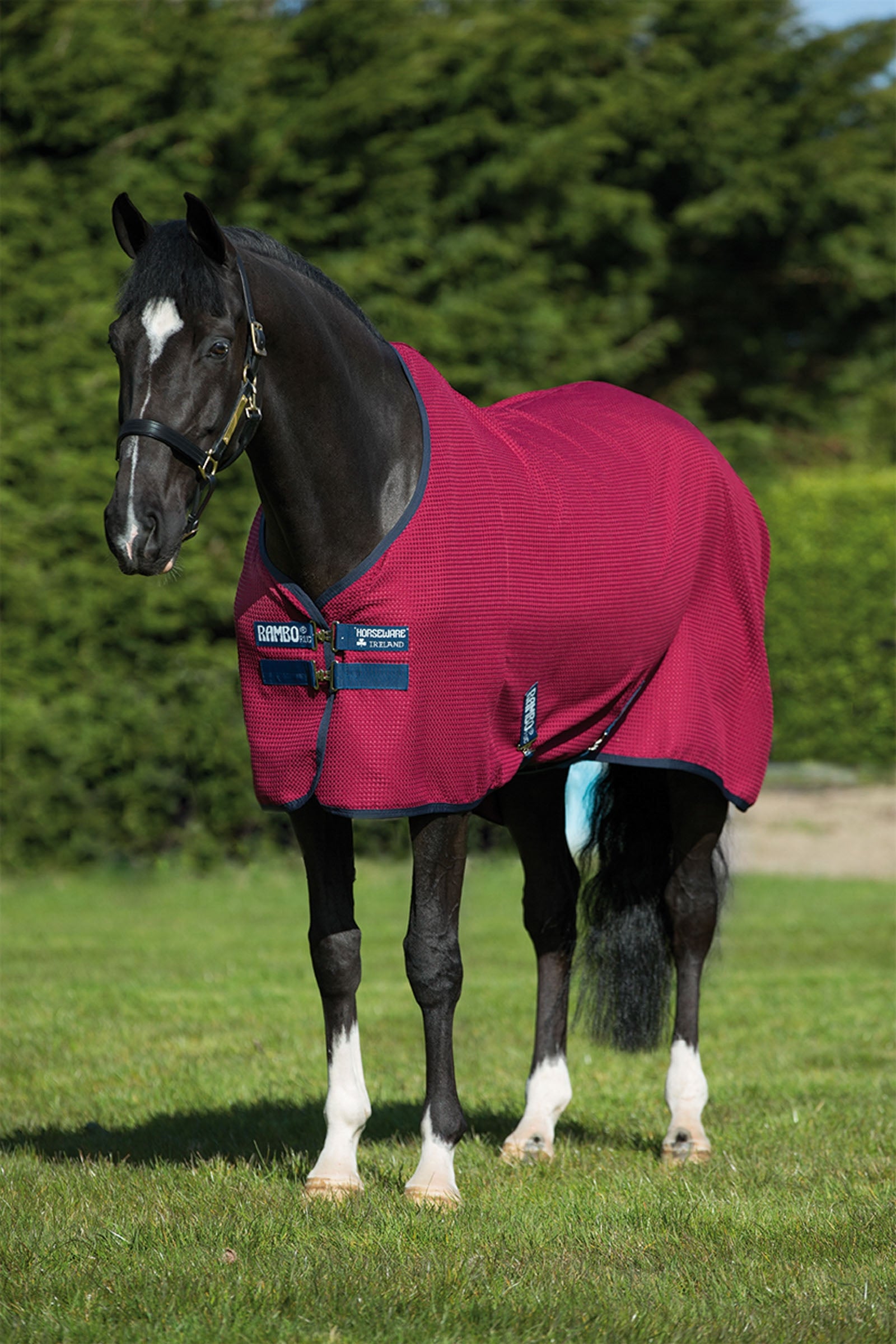Horseware Rambo Techni Waffle Cooler Coperte per cavalli