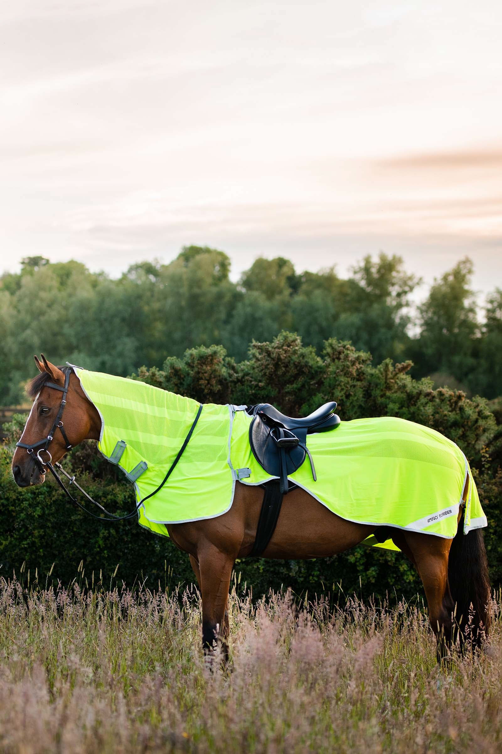 Horseware Amigo Flyrider coperta da allenamento, 0 g Coperte per cavalli