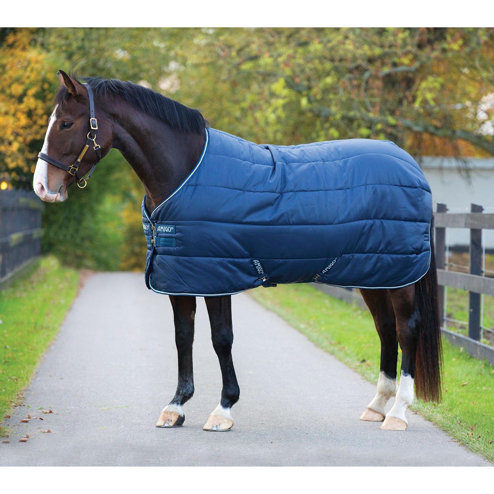 Horseware Coperta da scuderia Amigo Insulator, 350 g Coperte per cavalli