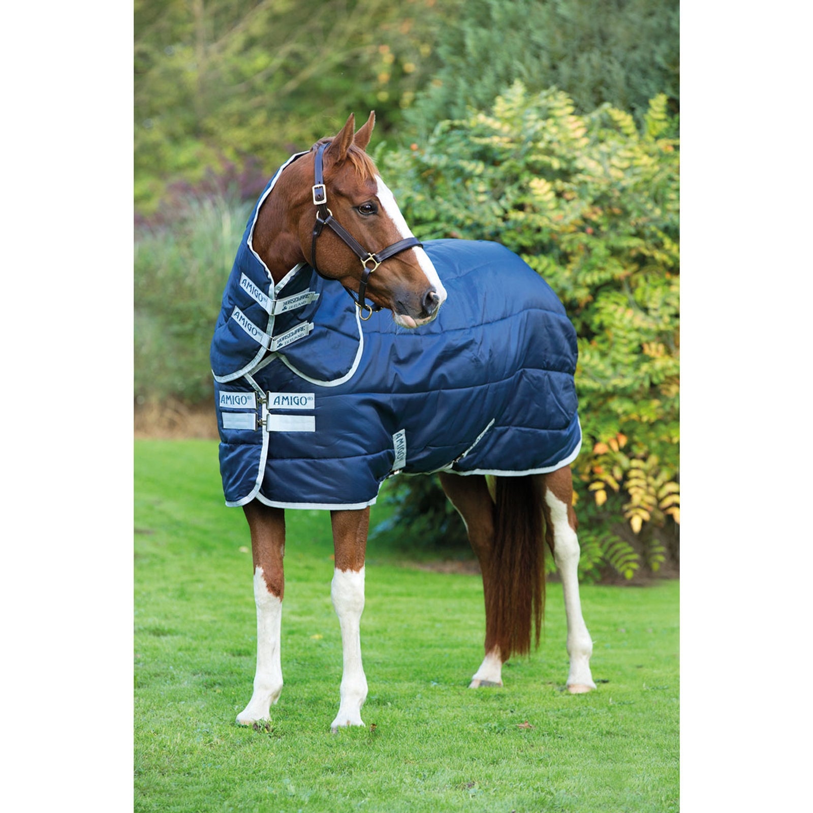 Horseware Amigo Insulator Plus Coperta da stalla con colletto rimovibile, 200g Coperte per cavalli