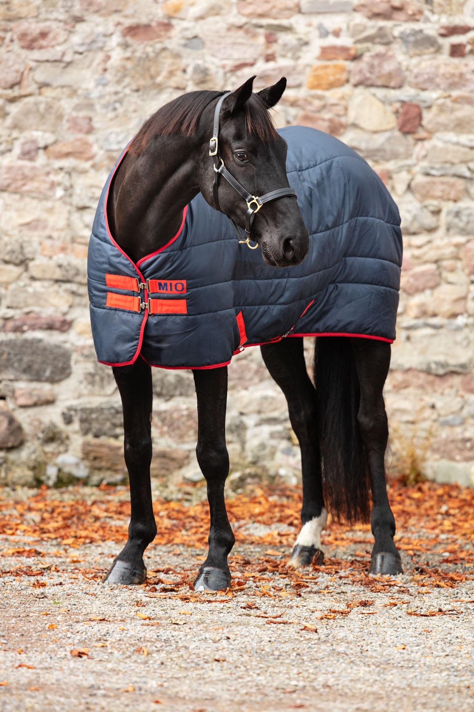 Horseware Mio Insulator coperta da stalla, 150g Coperte per cavalli