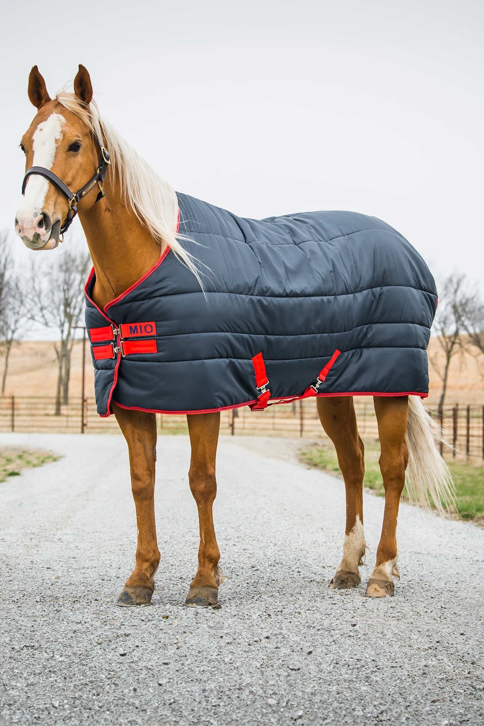 Horseware Mio Insulator Stable Rug, 150g Horse Rugs