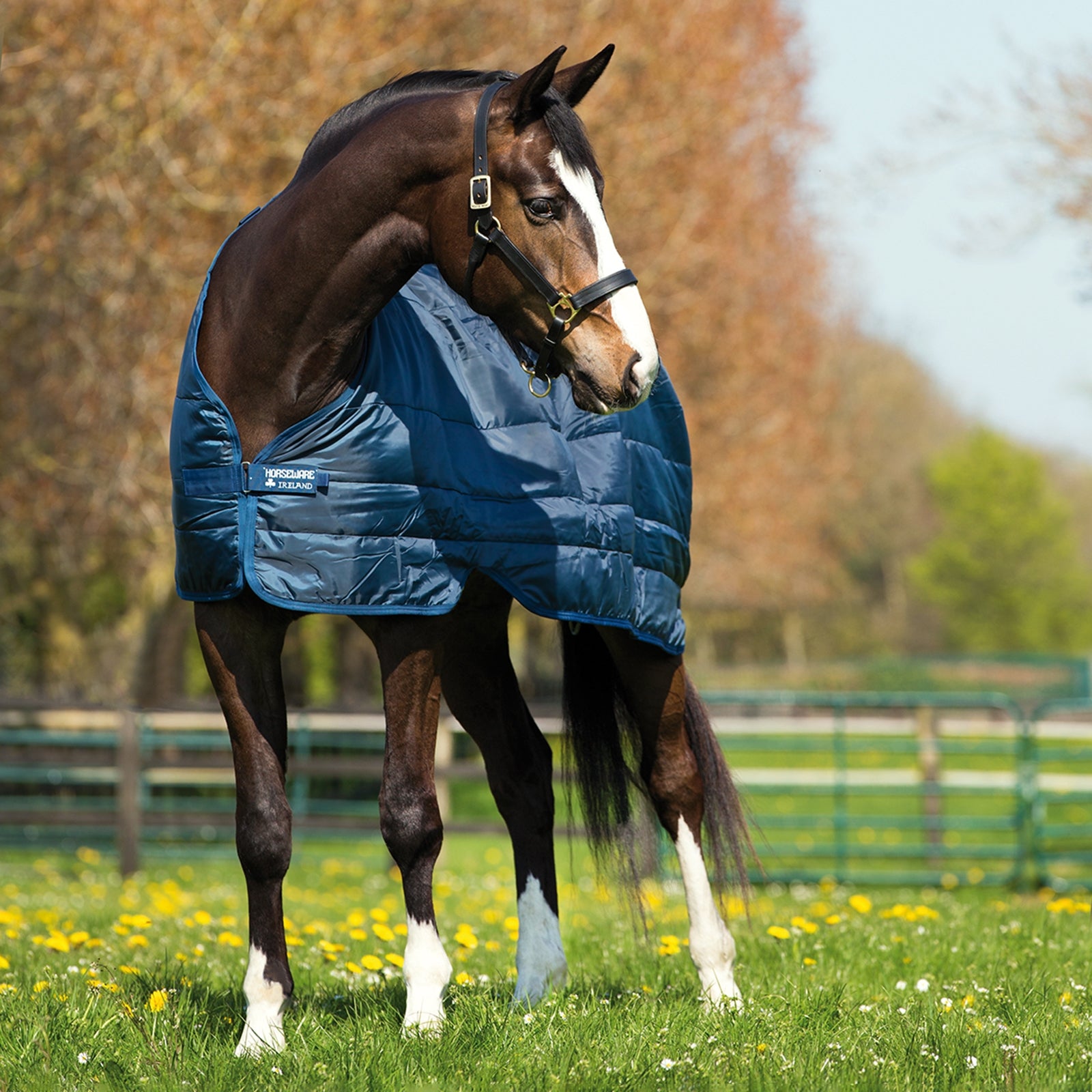 Horseware imbottitura 400 g Coperte per cavalli