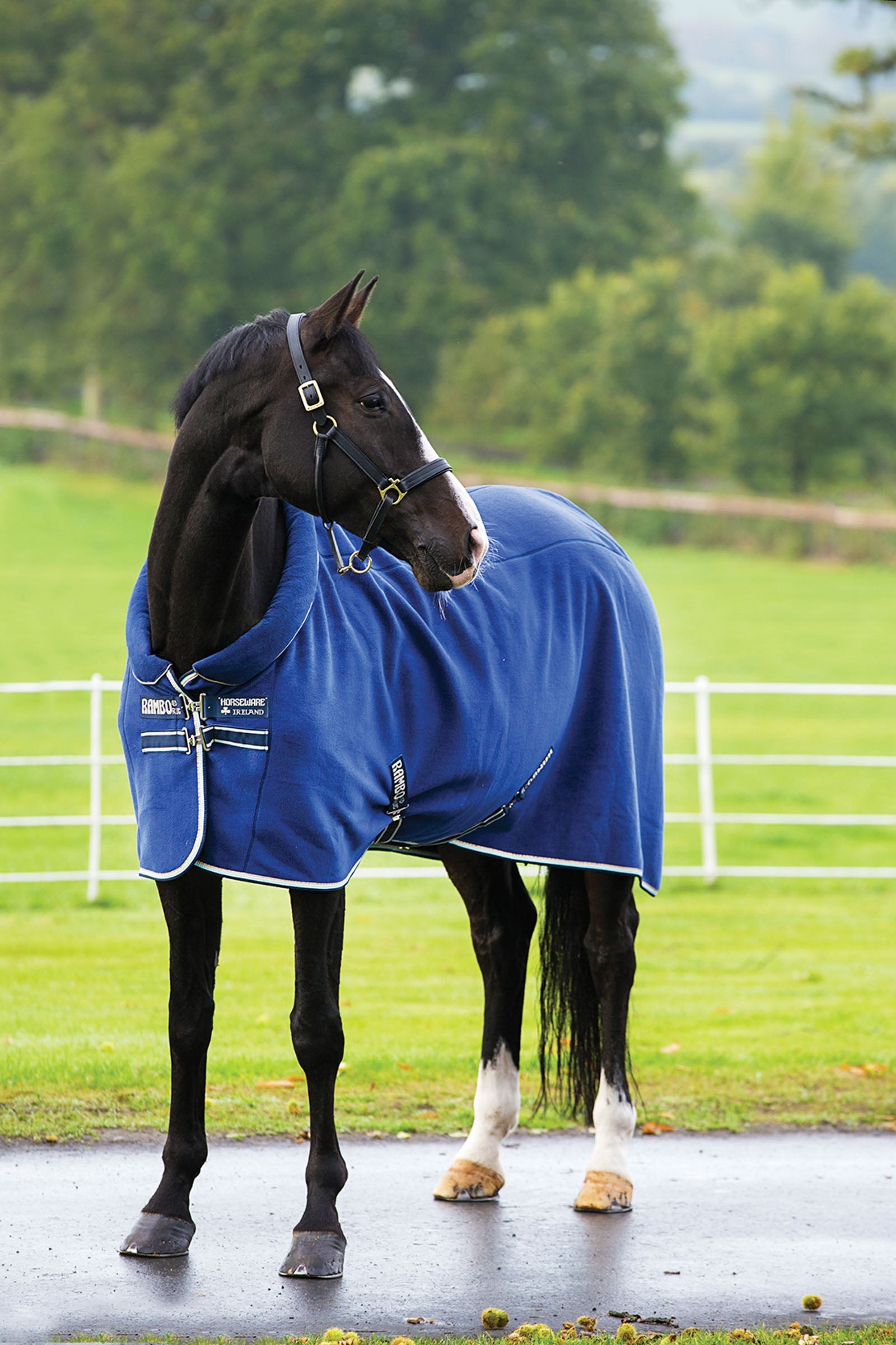 Horseware Rambo Cozy Fleece Cooler Coperte per cavalli