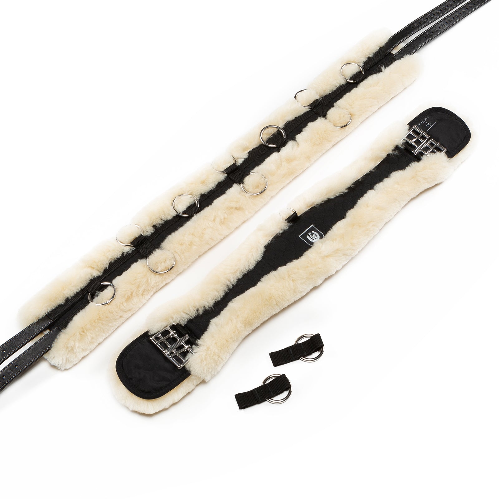 Christ Sottopancia polmonare di pelle di pecora di Cristo Addestramento del cavallo