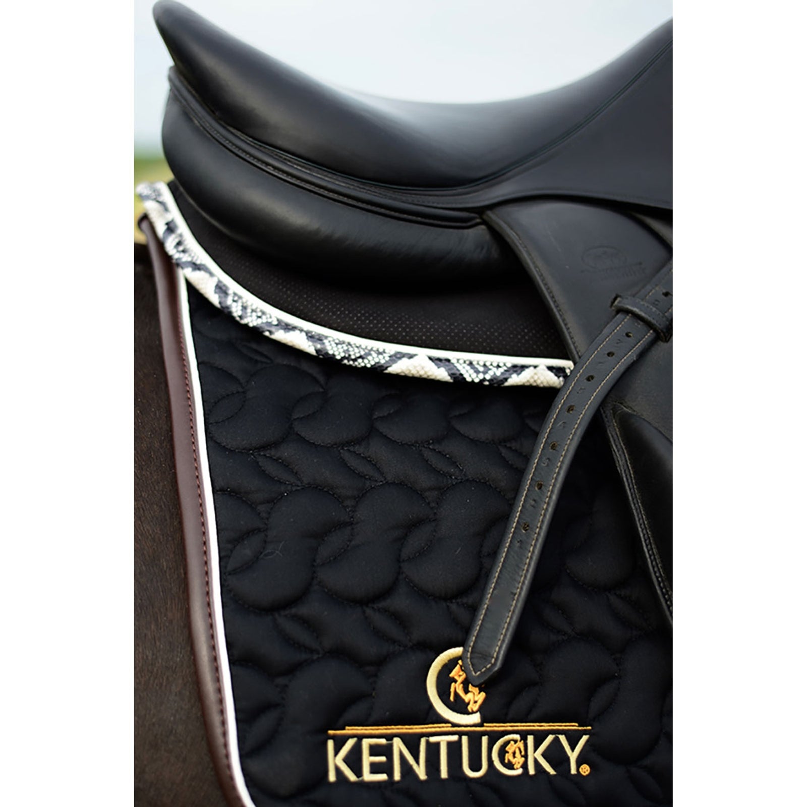 Kentucky Horsewear Sottosella Absorb Sottosella