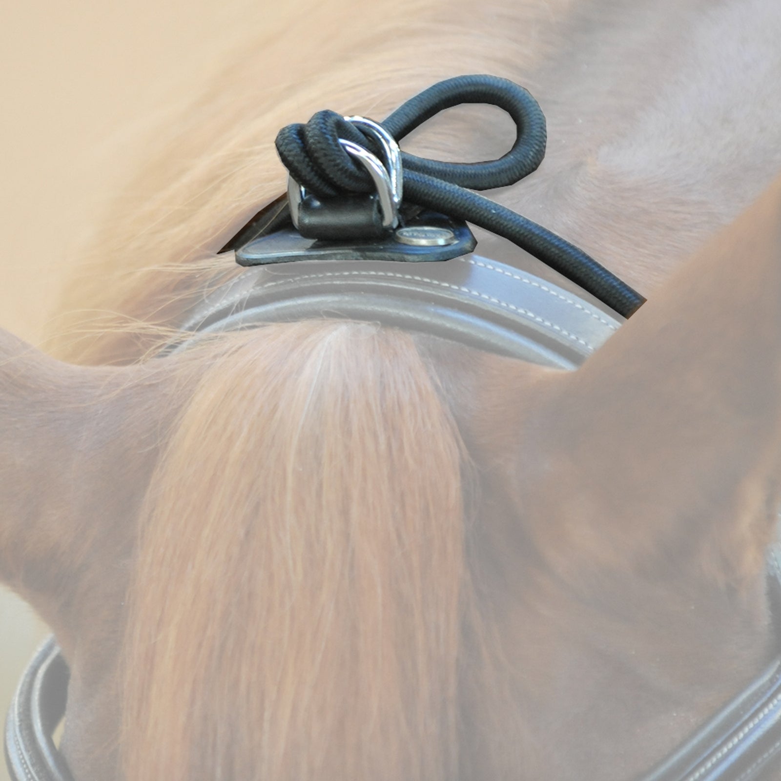 Kavalkade Bungie, elastic Horse Training