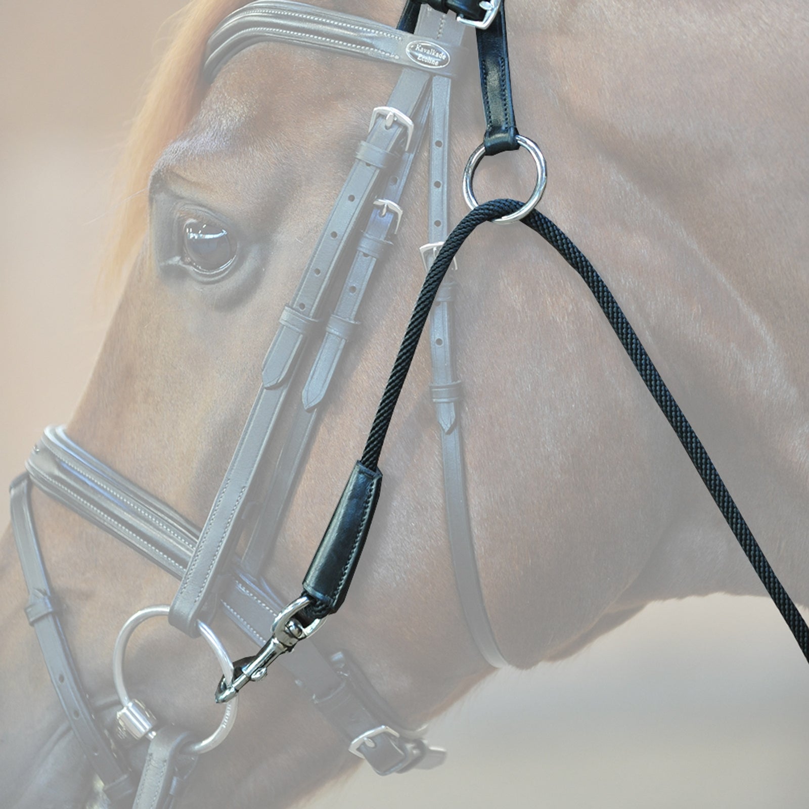 Kavalkade Chambon Horse Training