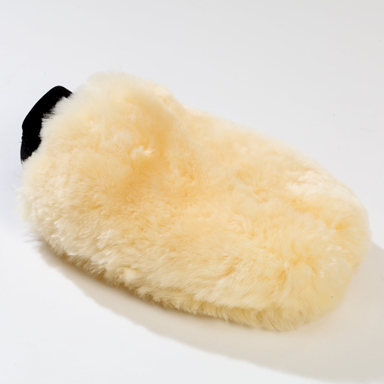 Kavalkade Guanto da toelettatura Accessori per la toelettatura