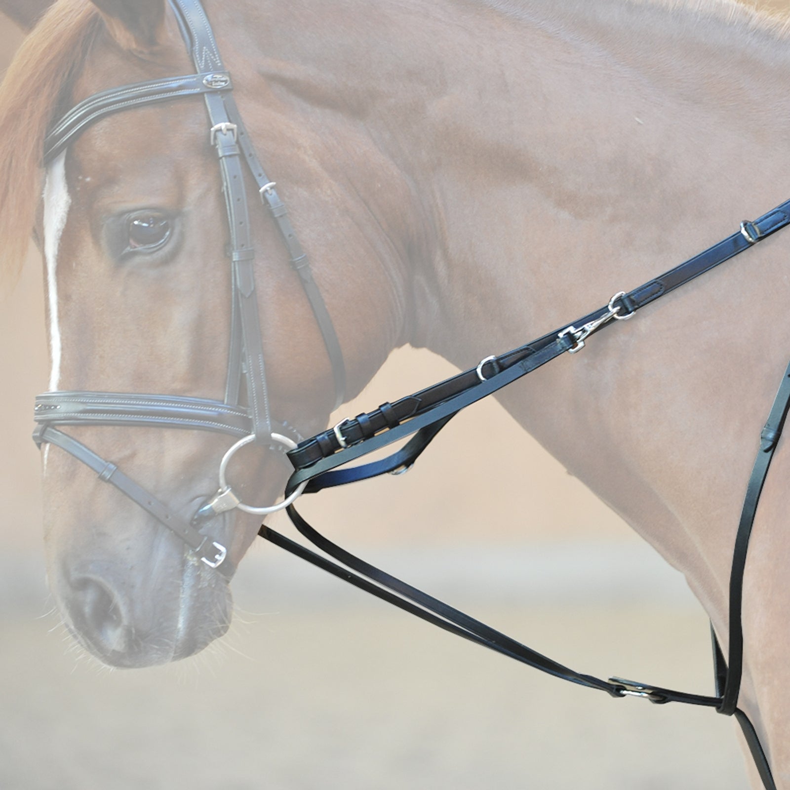 Kavalkade Market Harborough martingale Bridles & Reins
