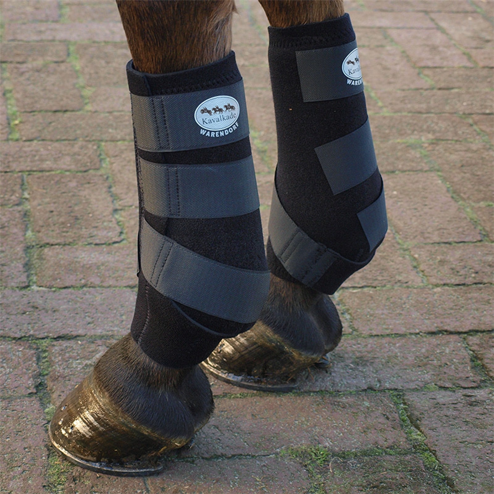 Kavalkade Stivali avvolgenti in neoprene Leg Protection & Hoof Protection for Horses