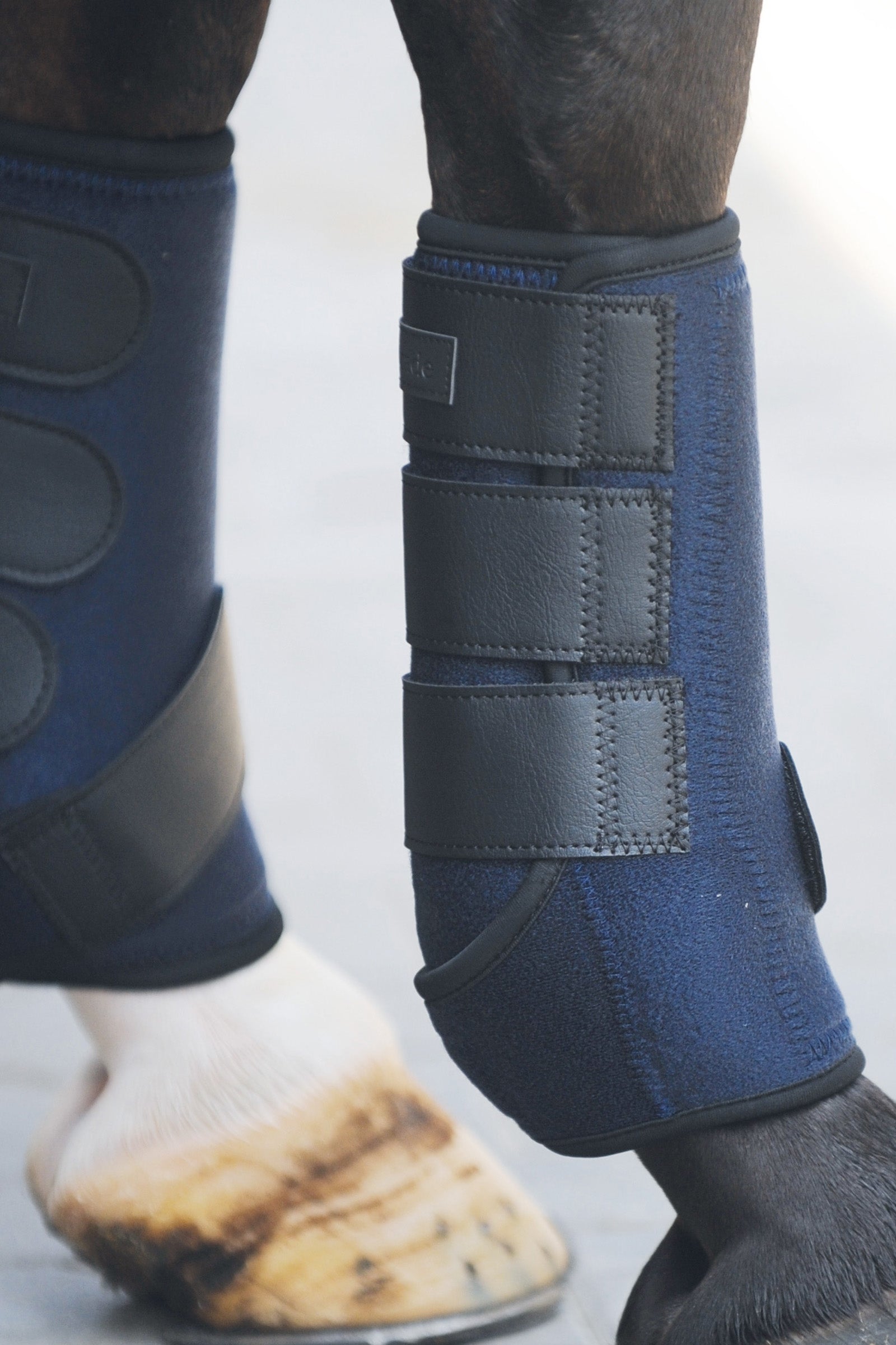 Kavalkade Stivali avvolgenti in neoprene Leg Protection & Hoof Protection for Horses