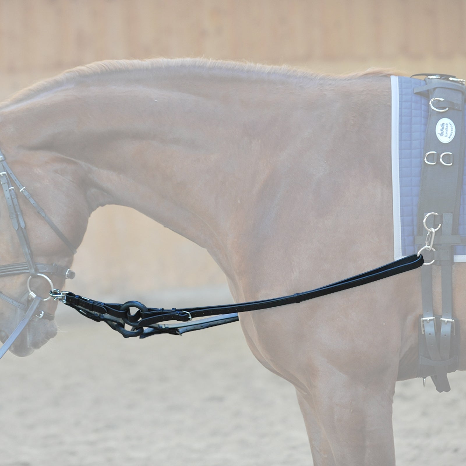 Kavalkade Redini laterali Briglie & redini