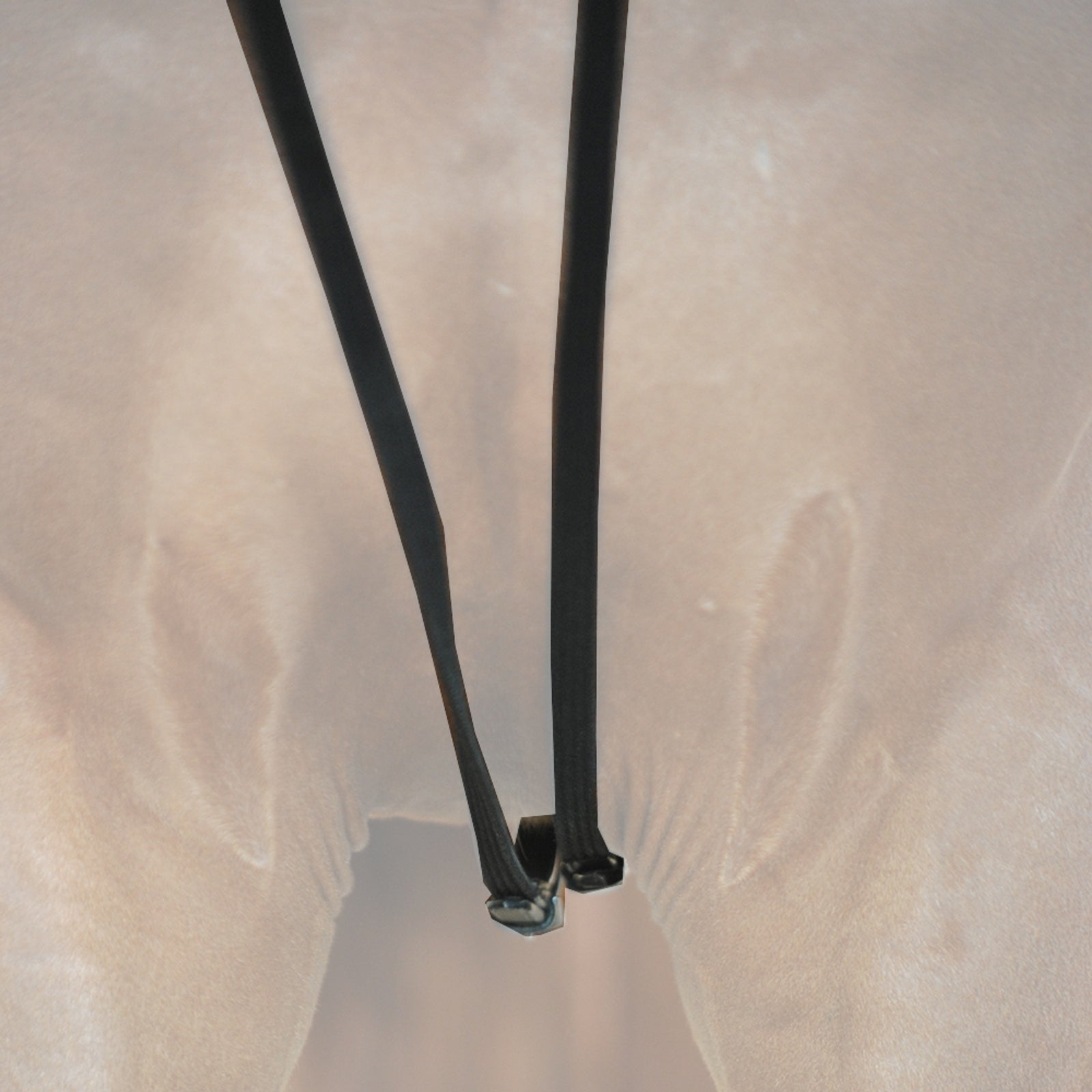 Kavalkade Webbed draw reins Bridles & Reins