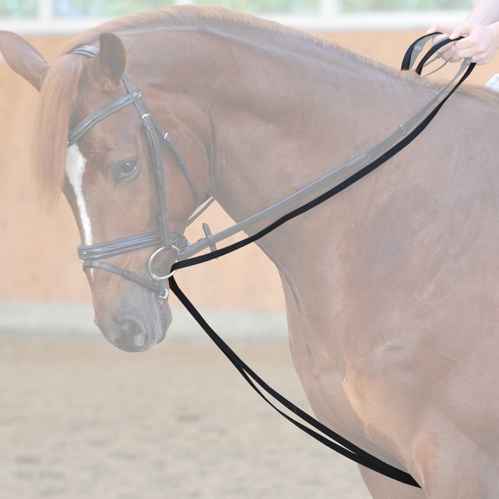 Kavalkade Webbed draw reins with leather loop Bridles & Reins
