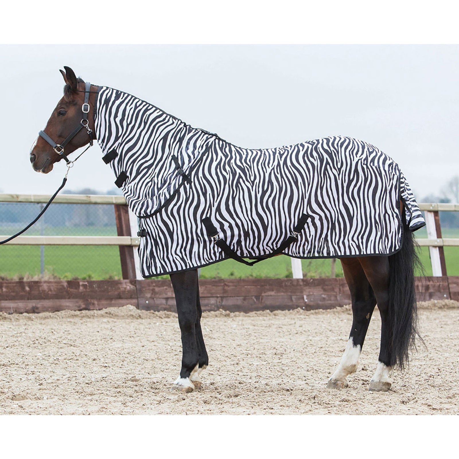 Harry's Horse Fly Rug with Detachable Neck Horse Rugs