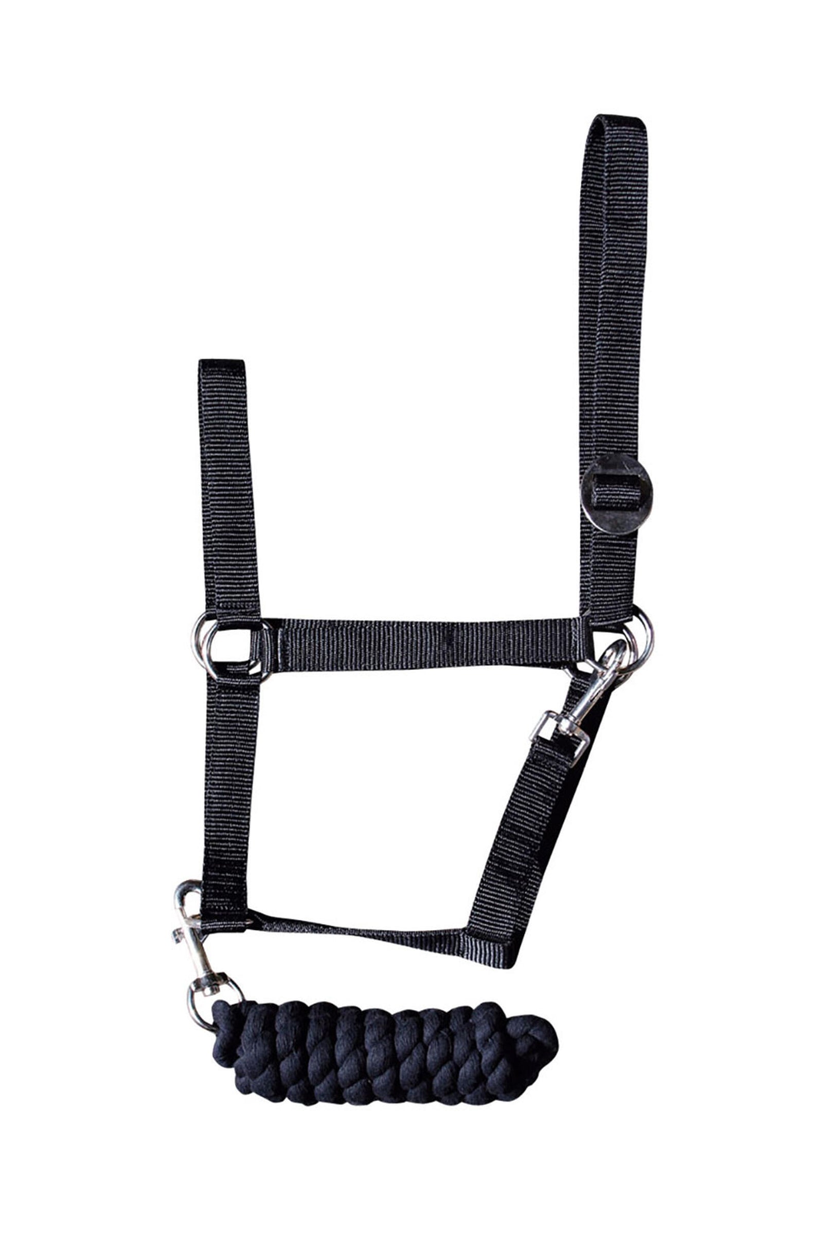Harry's Horse Iniziale di Headcollar Cavezze e guinsagli