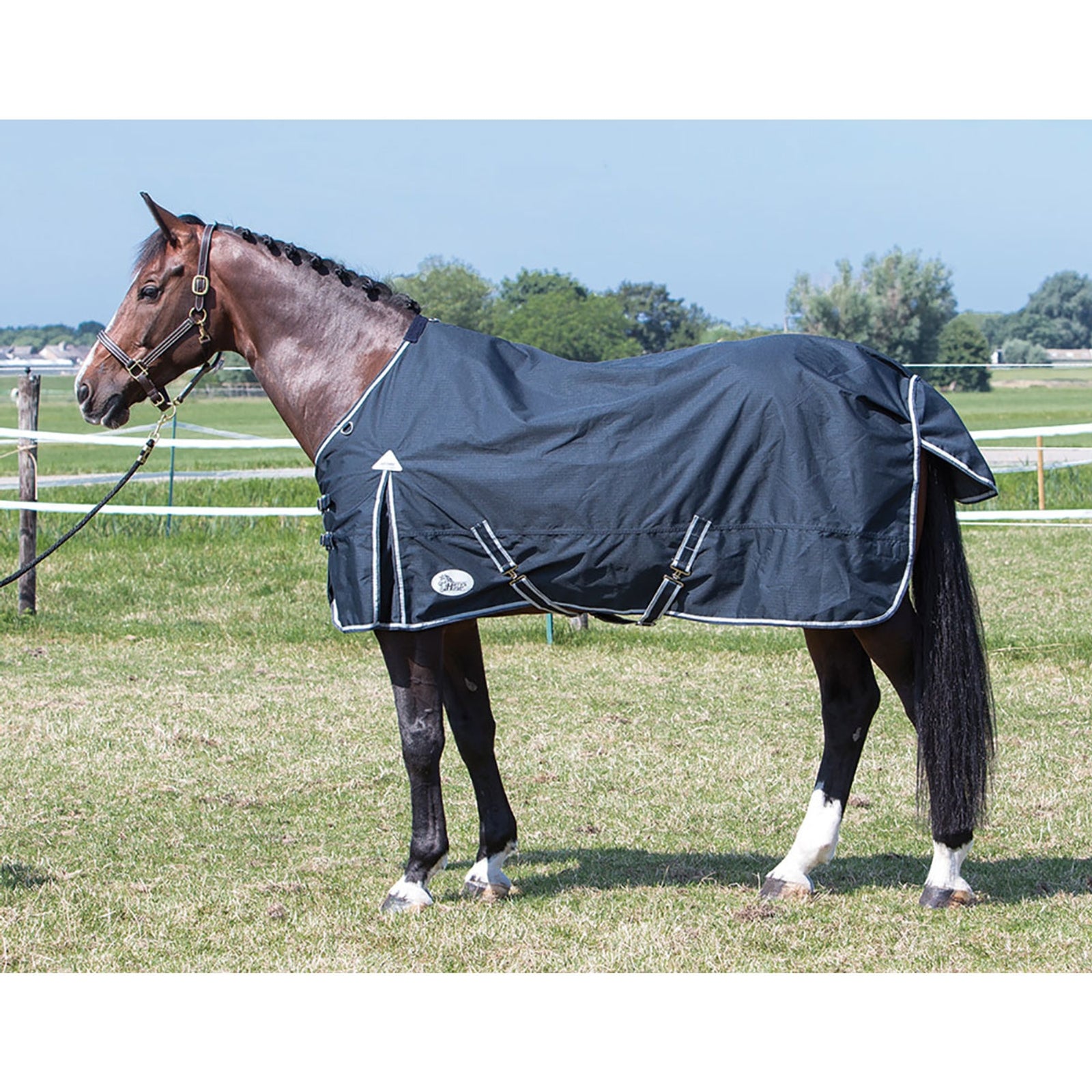 Harry's Horse Tappeto Thor 0gr ebano, fodera TC Coperte per cavalli