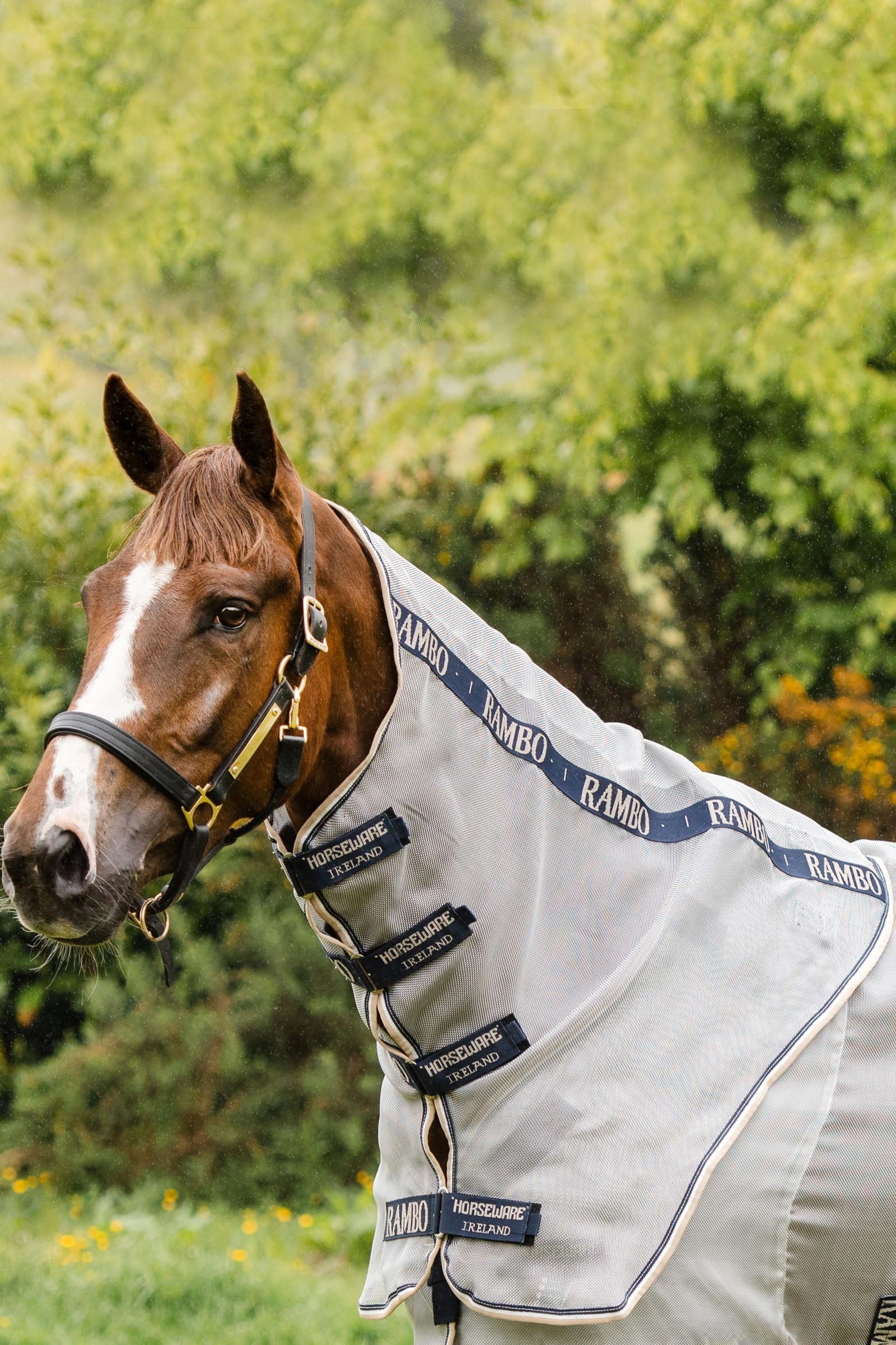 Horseware Rambo Protector Neck Cover Coperte per cavalli