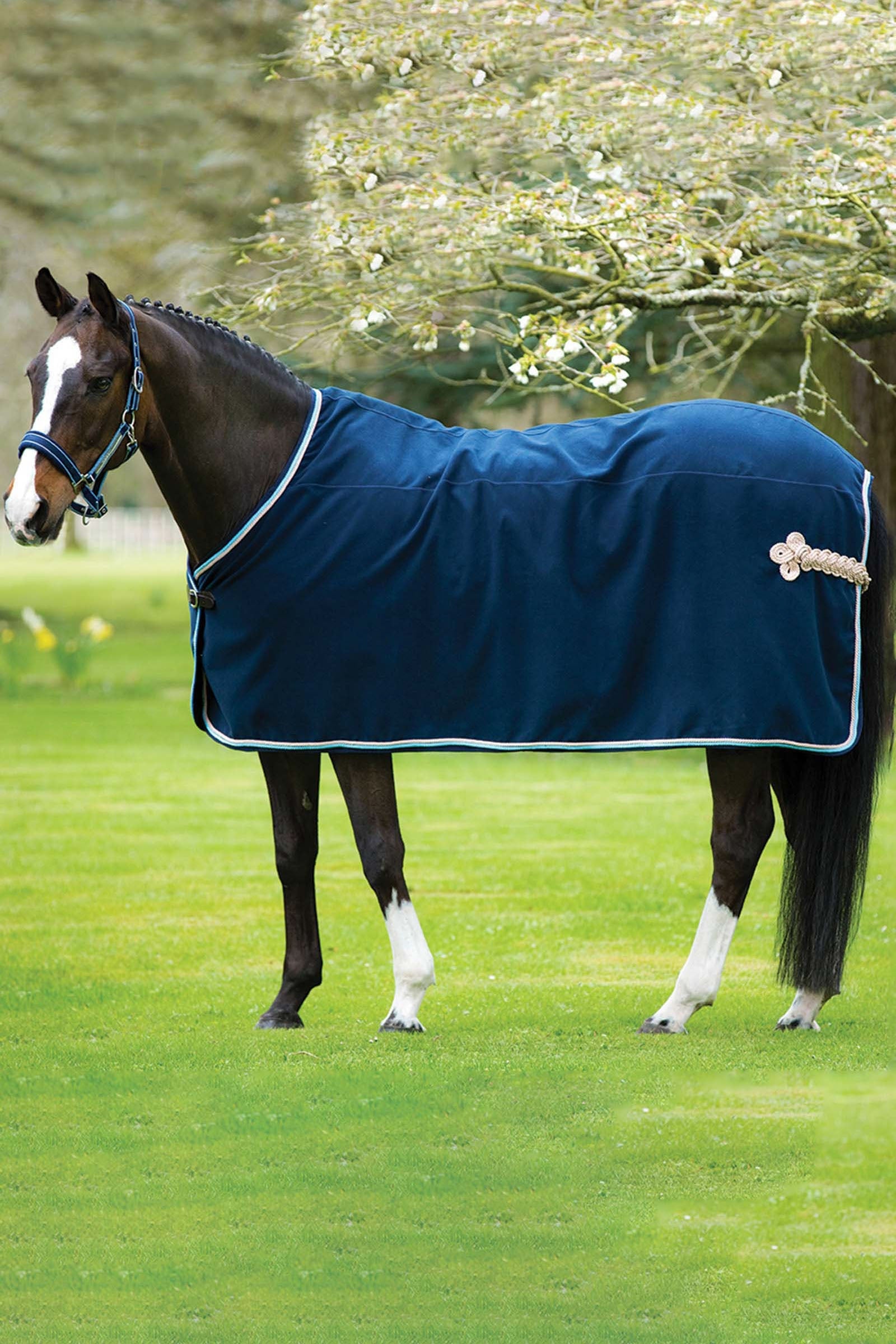Horseware Tappeto Rambo Show Coperte per cavalli