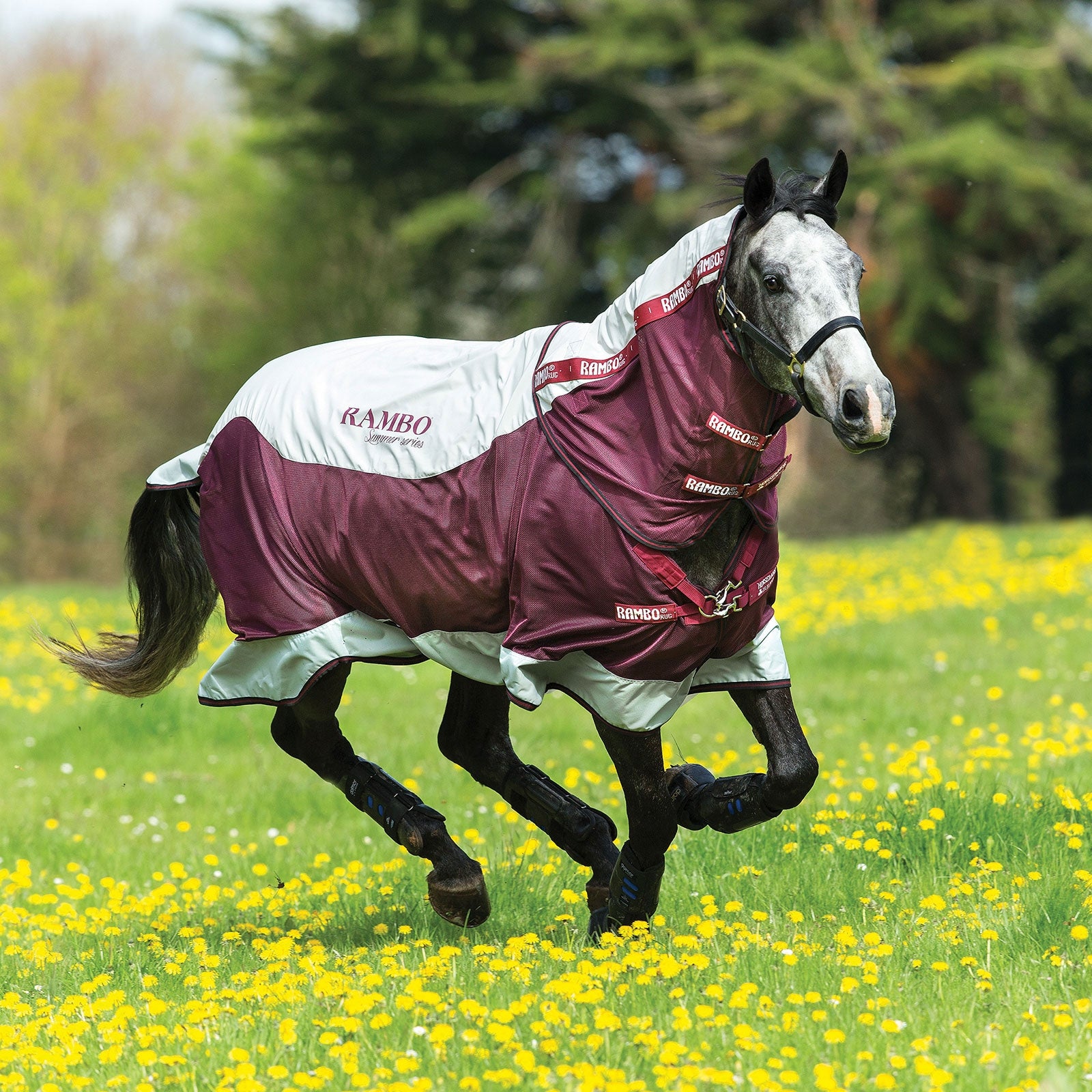 Horseware Rambo Summer Series coperta da paddock con fodera (0g / 100g) e collo staccabile Coperte per cavalli