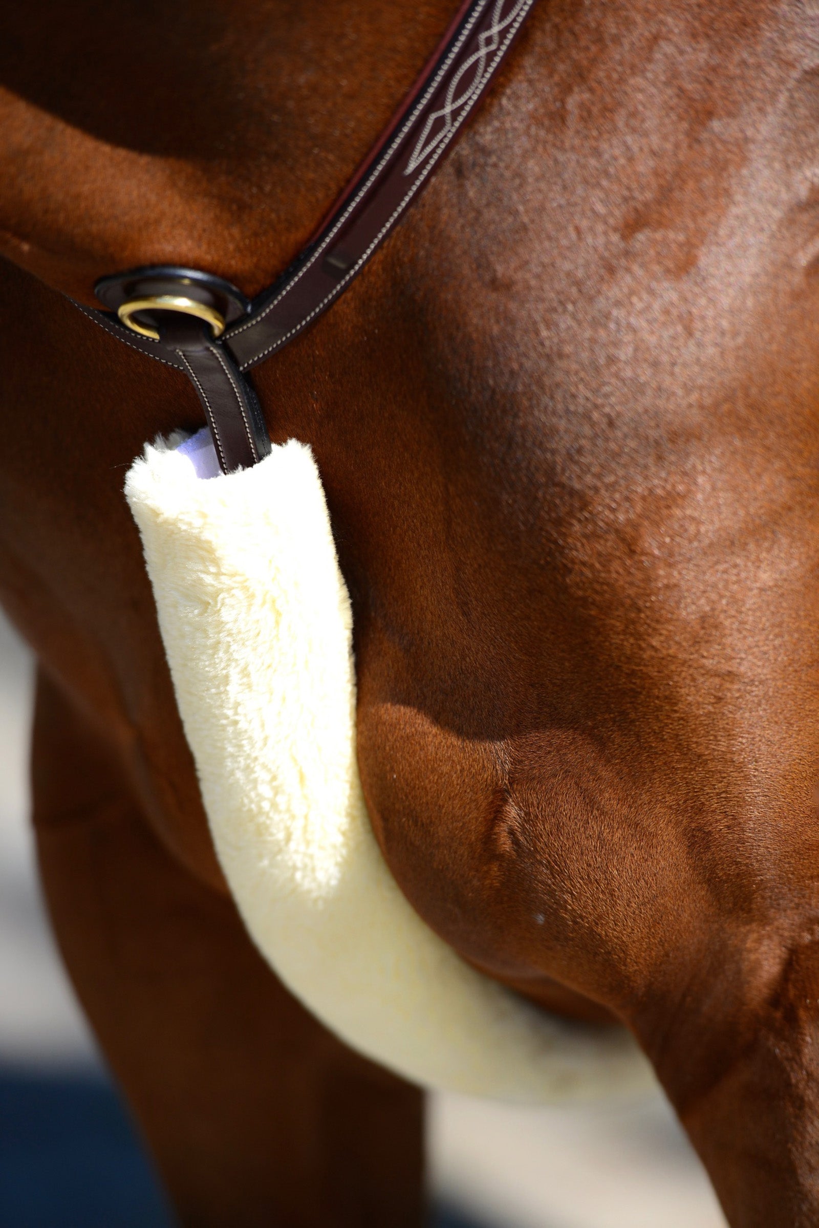 Kentucky Horsewear Copripettorale in pelle di pecora Briglie & redini