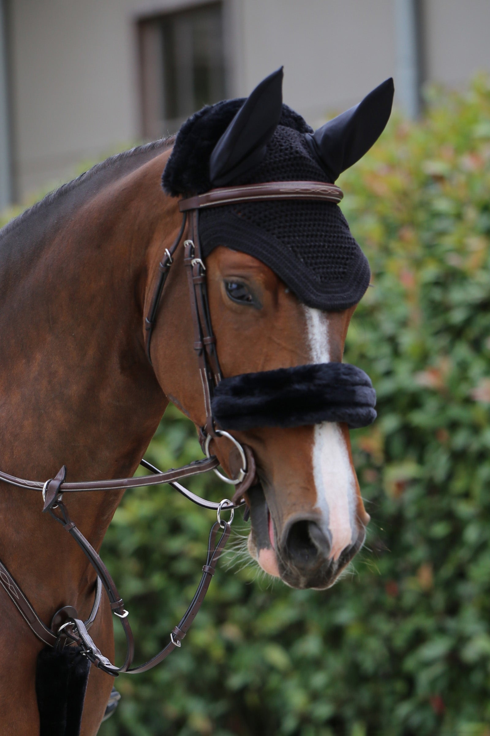 Kentucky Horsewear Copertura per capezzina in pelle di pecora Briglie & redini
