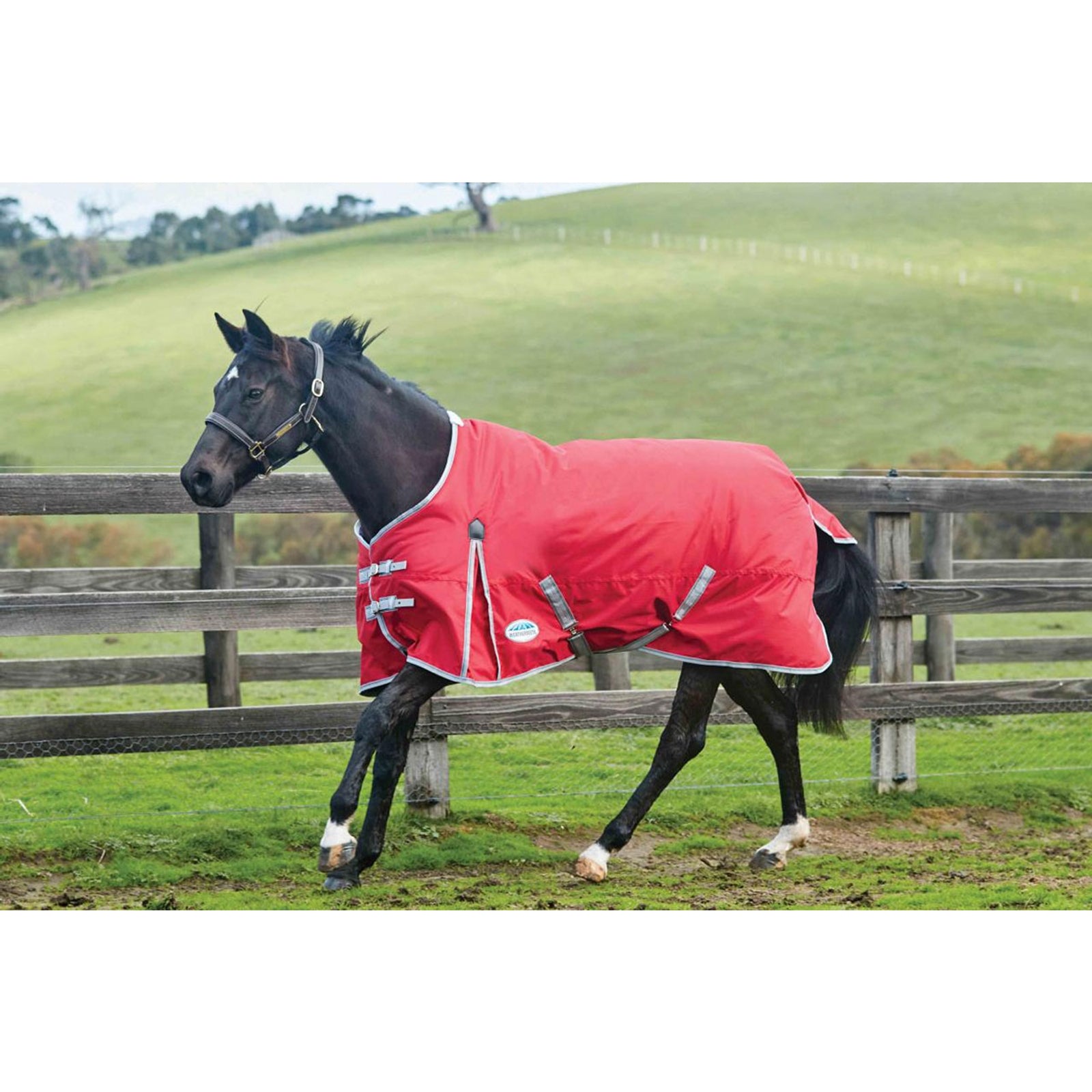 Weatherbeeta Comfitec Classic Coperta da turnout, 220 gr Coperte per cavalli