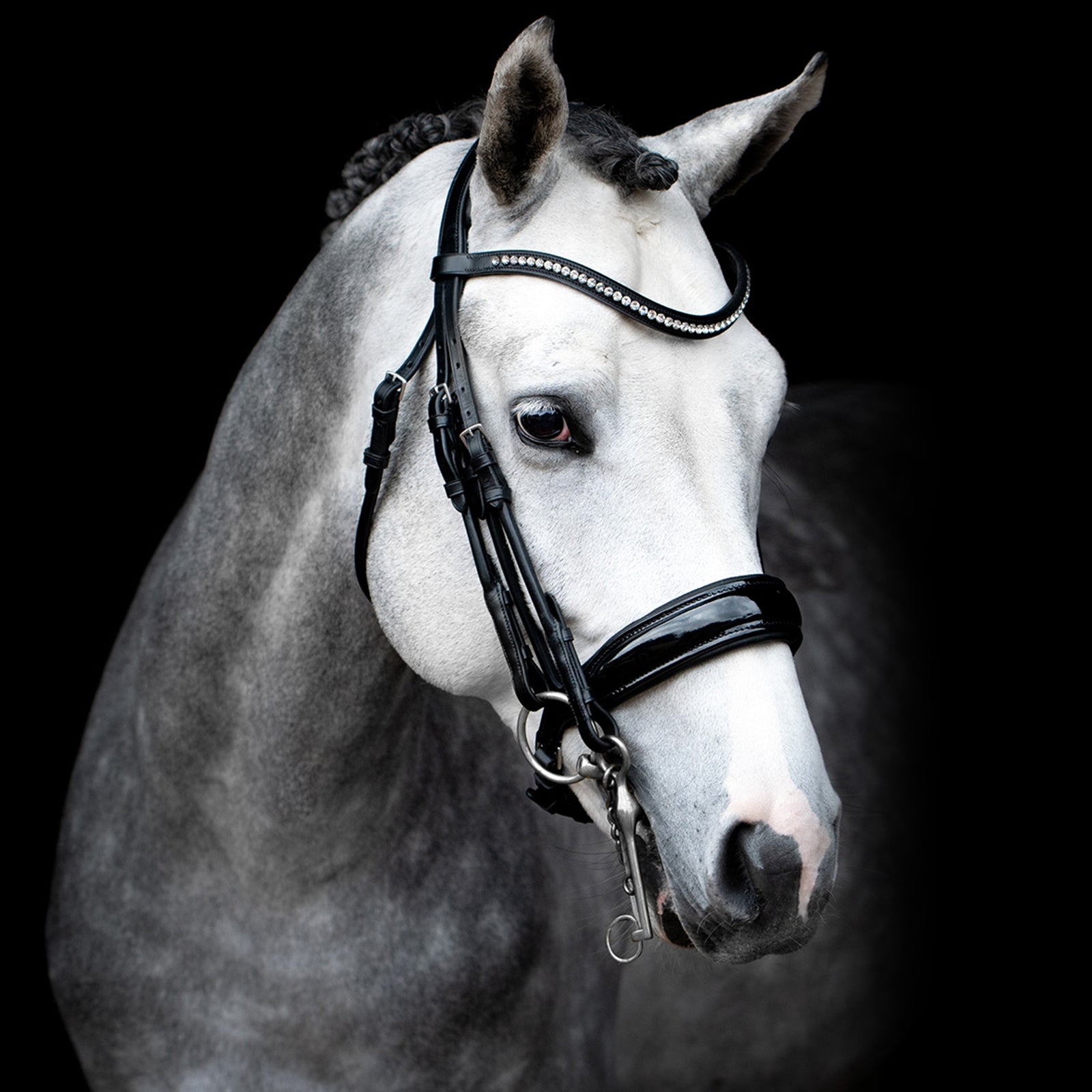 Schockemöhle Sports Venice Double Bridle Bridles & Reins