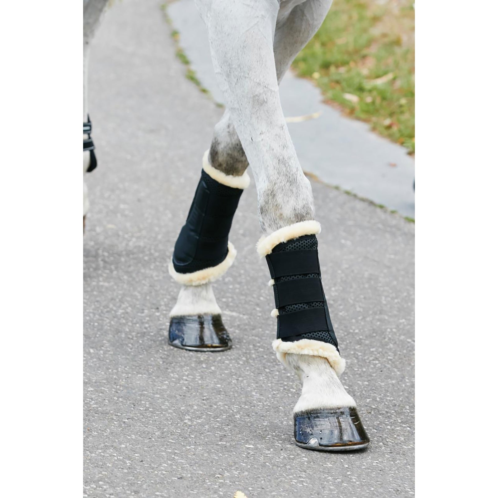 Weatherbeeta Stivali da ginnastica foderati in pura lana Leg Protection & Hoof Protection for Horses