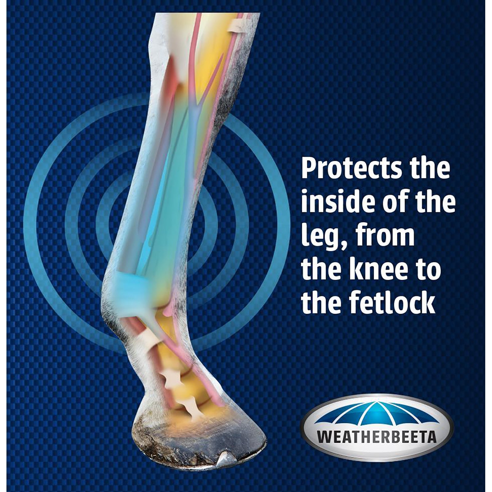 Weatherbeeta Pure Wool Lined Exercise Boots Leg Protection & Hoof Protection for Horses