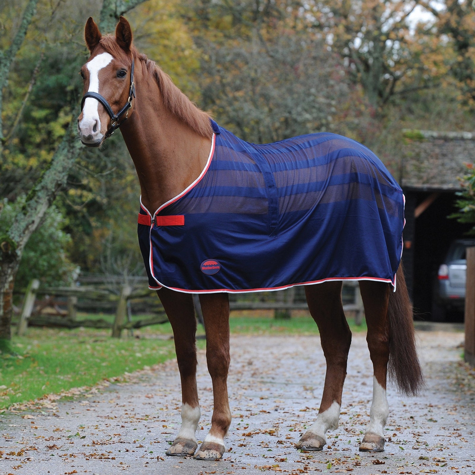 Weatherbeeta Weerbeeta Scrim Coperta raffreddante Coperte per cavalli