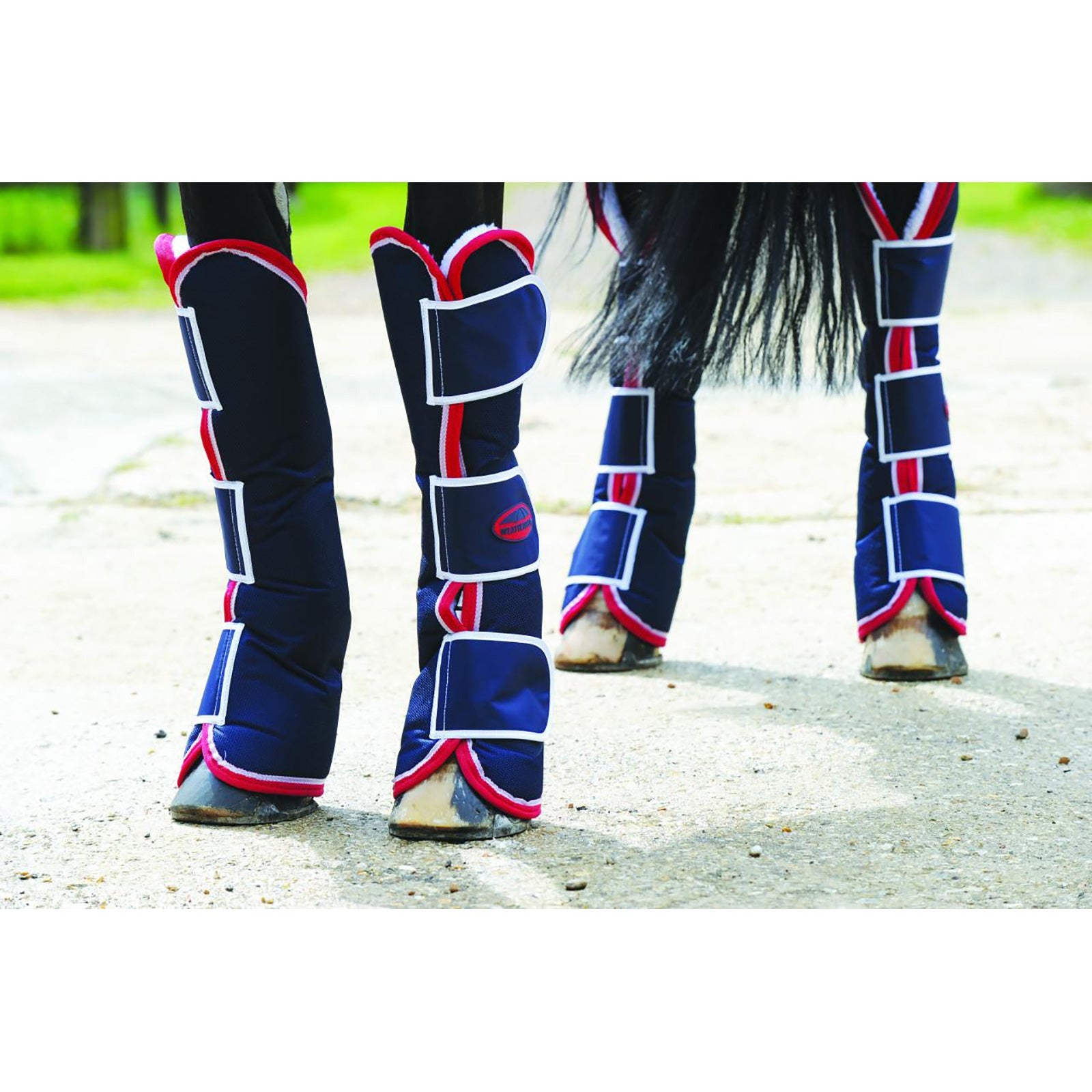 Weatherbeeta Stivali da viaggio lunghi con linguetta larga Leg Protection & Hoof Protection for Horses