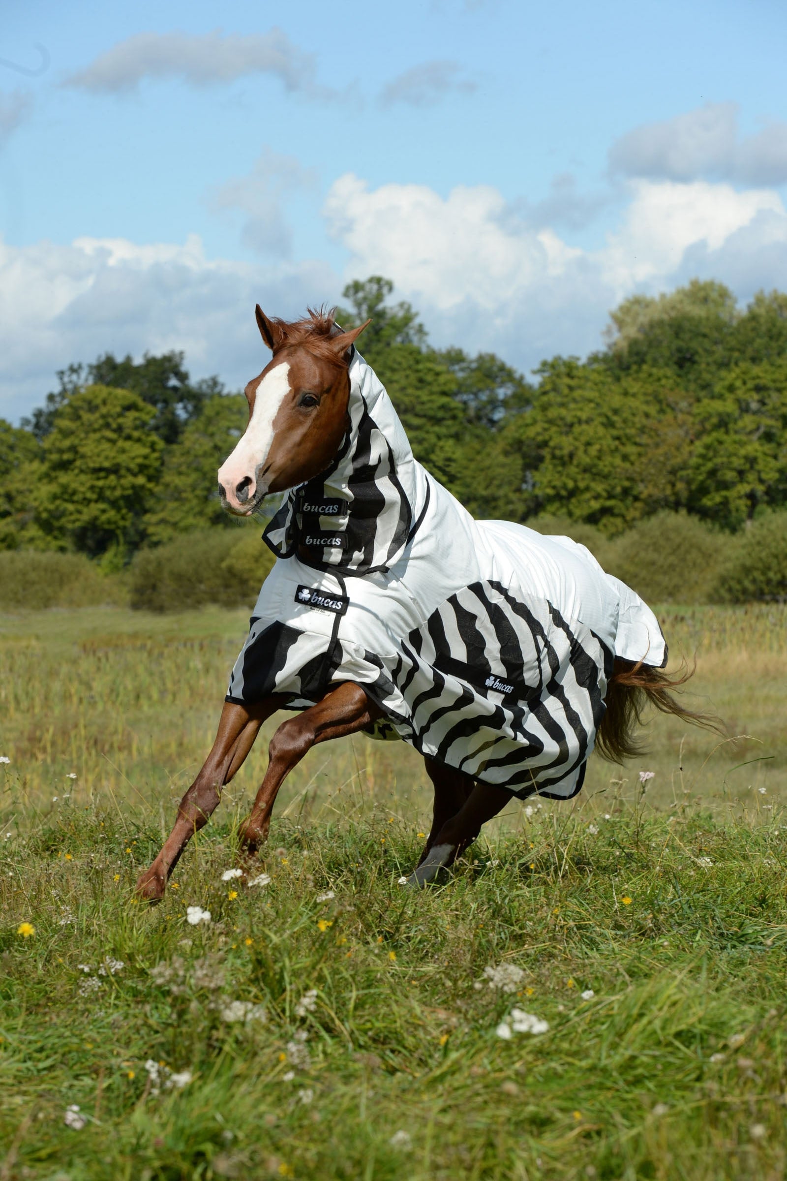Bucas Buzz-off Zebra Rain Full Neck Fly Rug with fixed Neck Horse Rugs