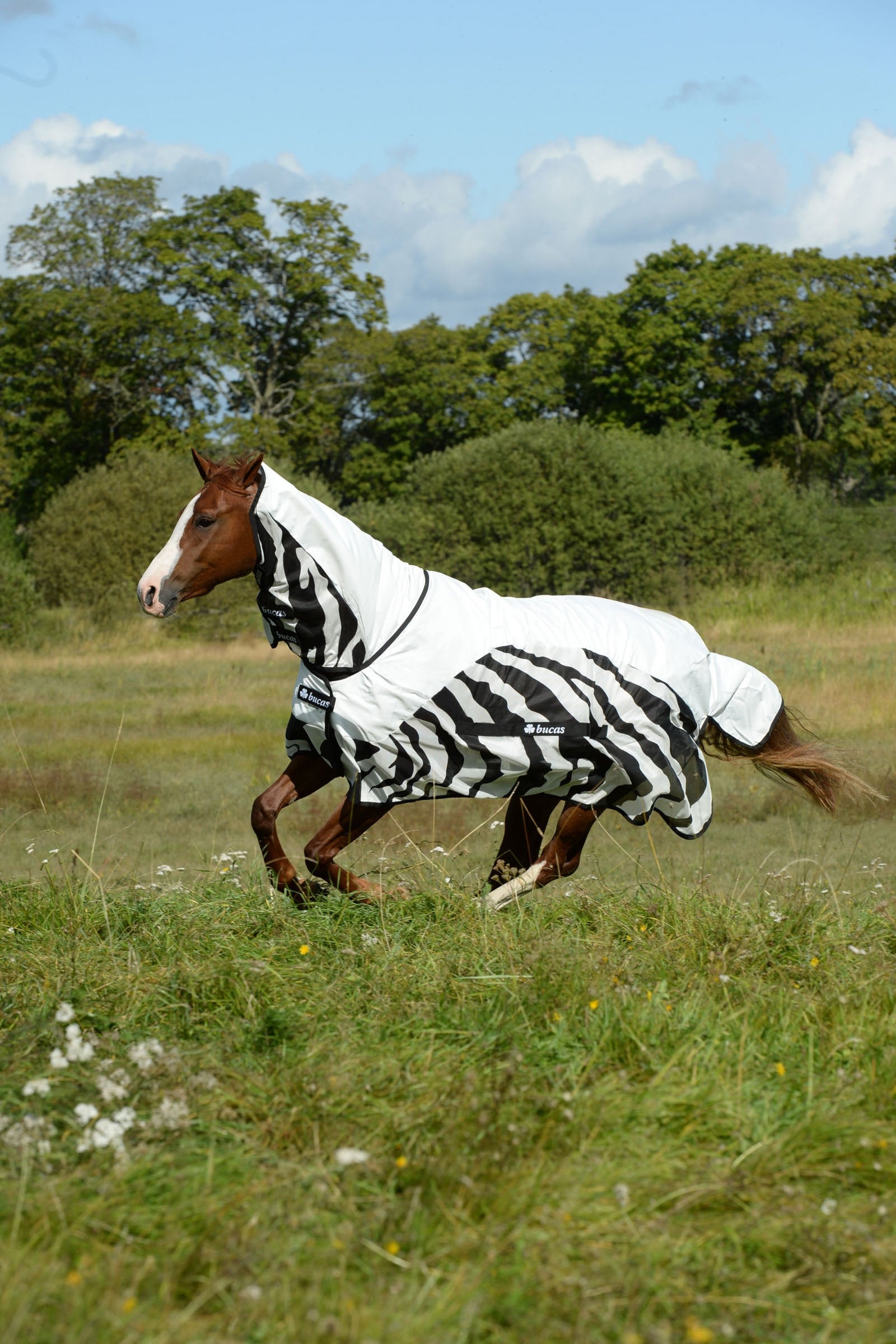 Bucas Buzz-off Zebra Rain Full Neck Fly Rug with fixed Neck Horse Rugs