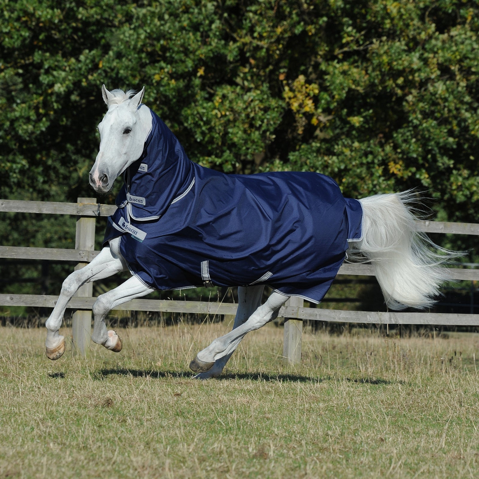 Bucas Freedom Coperta per pony con collo intero fisso (150g / 150g) Coperte per cavalli