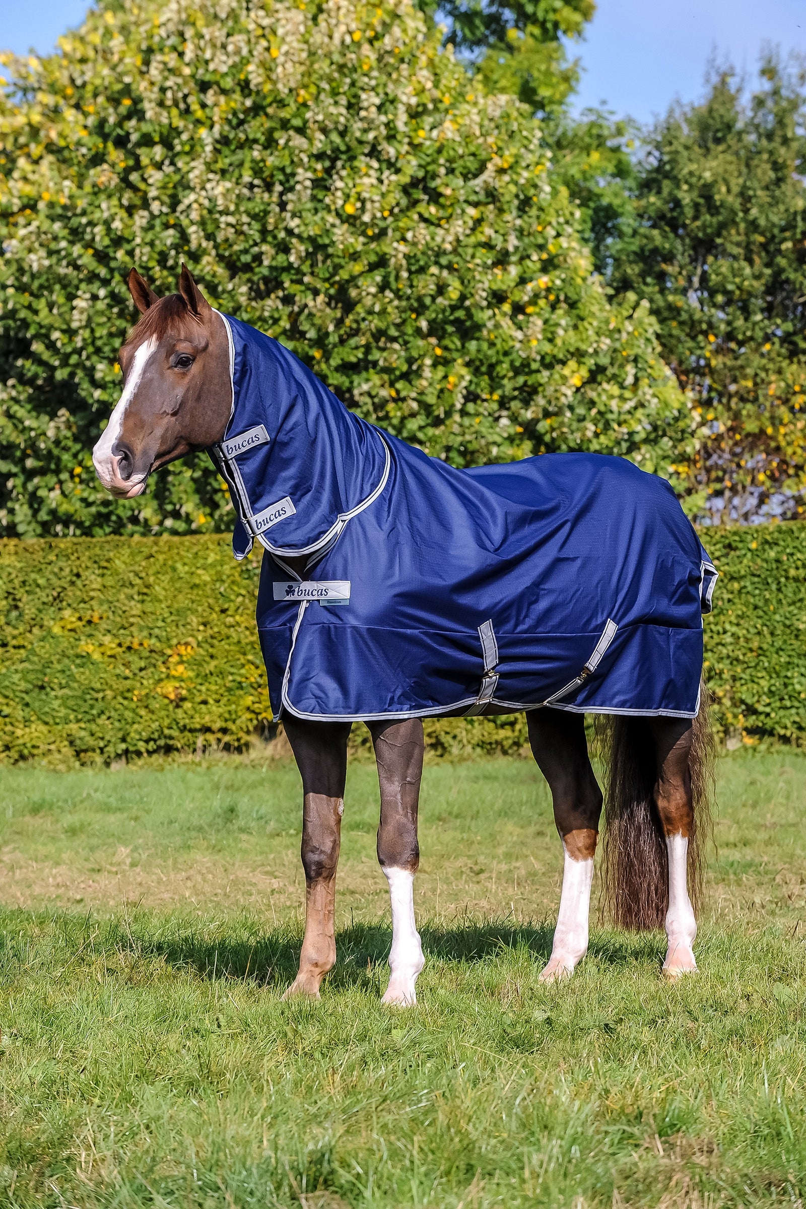 Bucas Freedom Coperta da turnout leggera con collo inamovibile per pony Coperte per cavalli