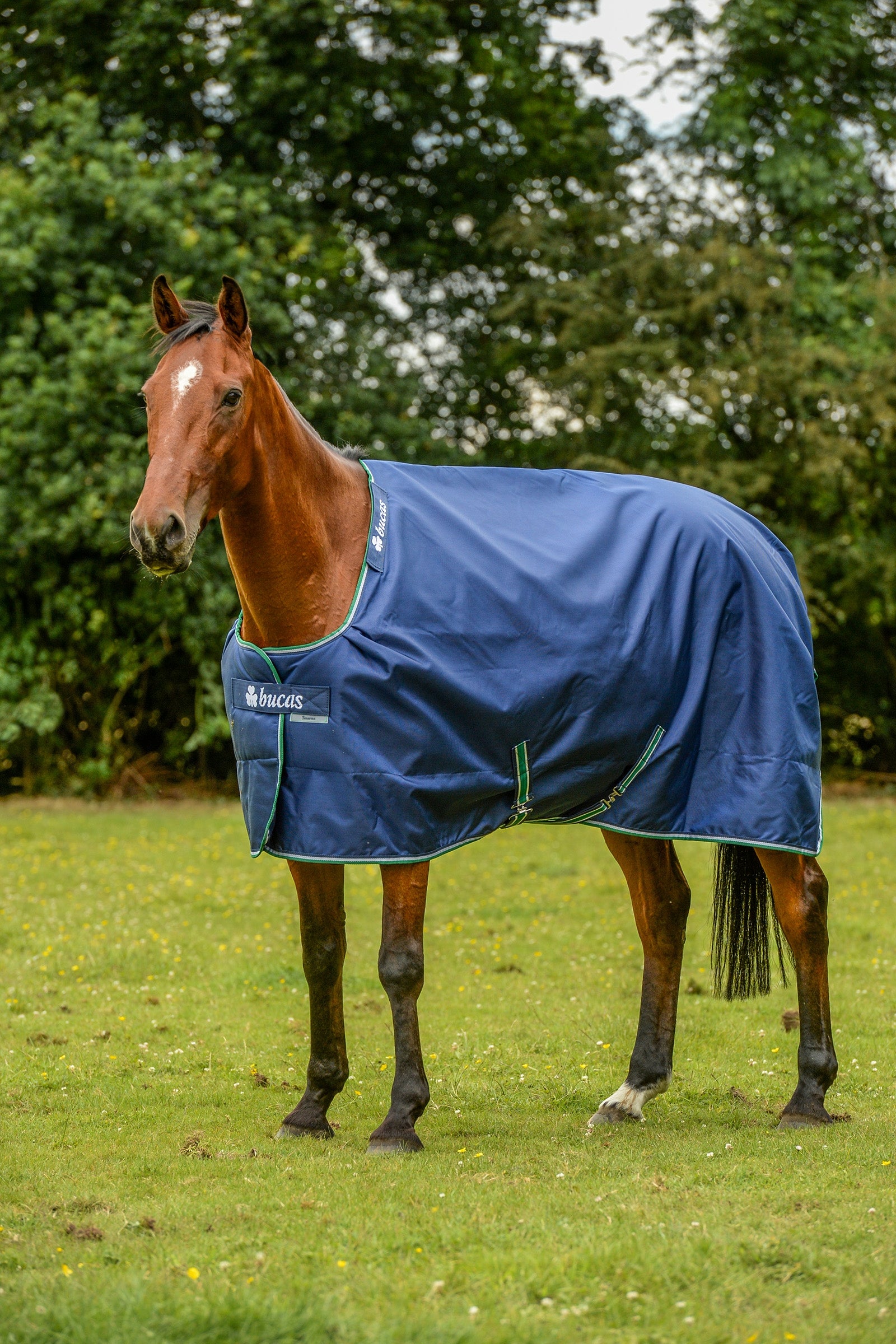 Bucas Smartex Coperta Extra da 300g Coperte per cavalli