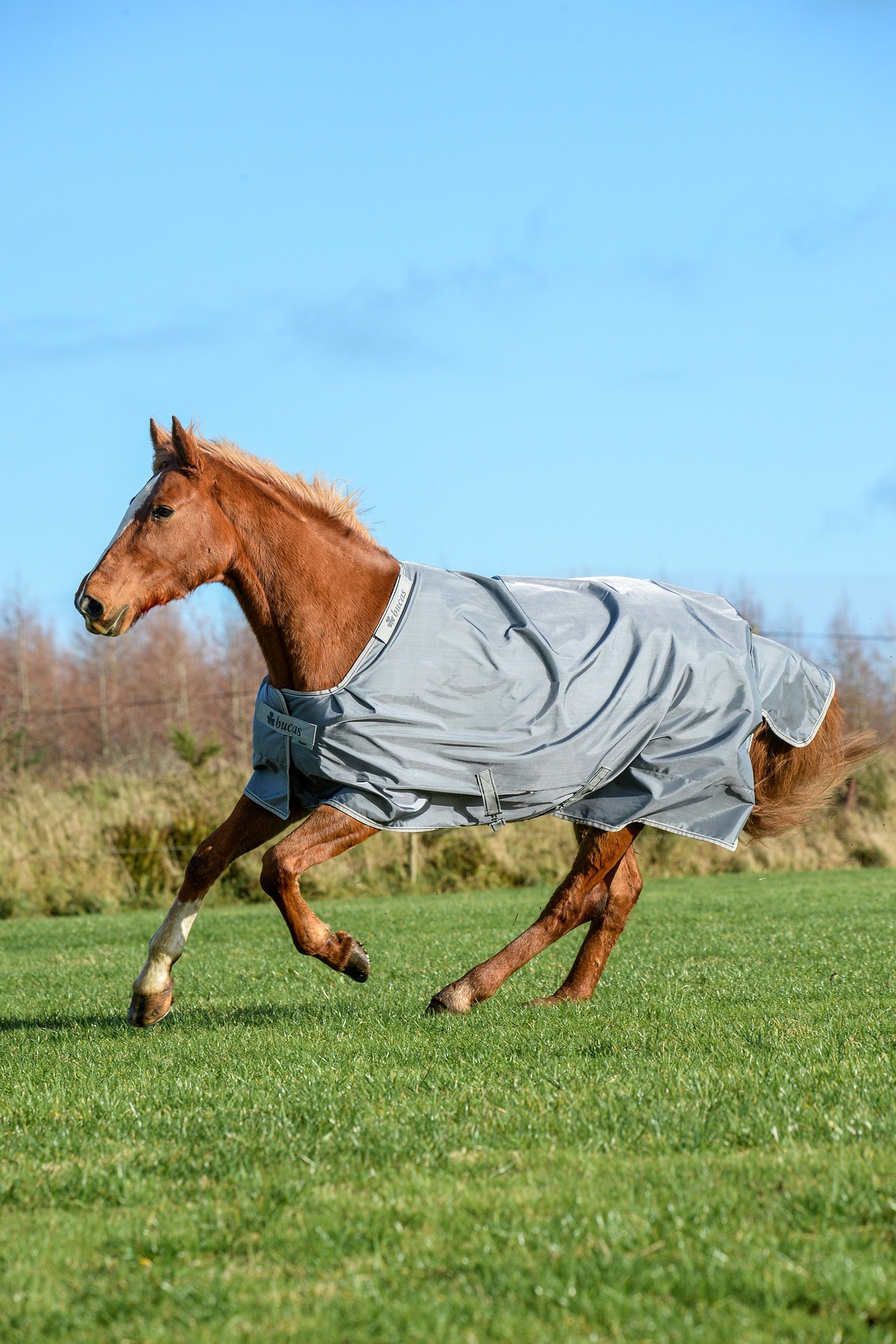 Bucas Smartex Coperta Extra da 300g Coperte per cavalli