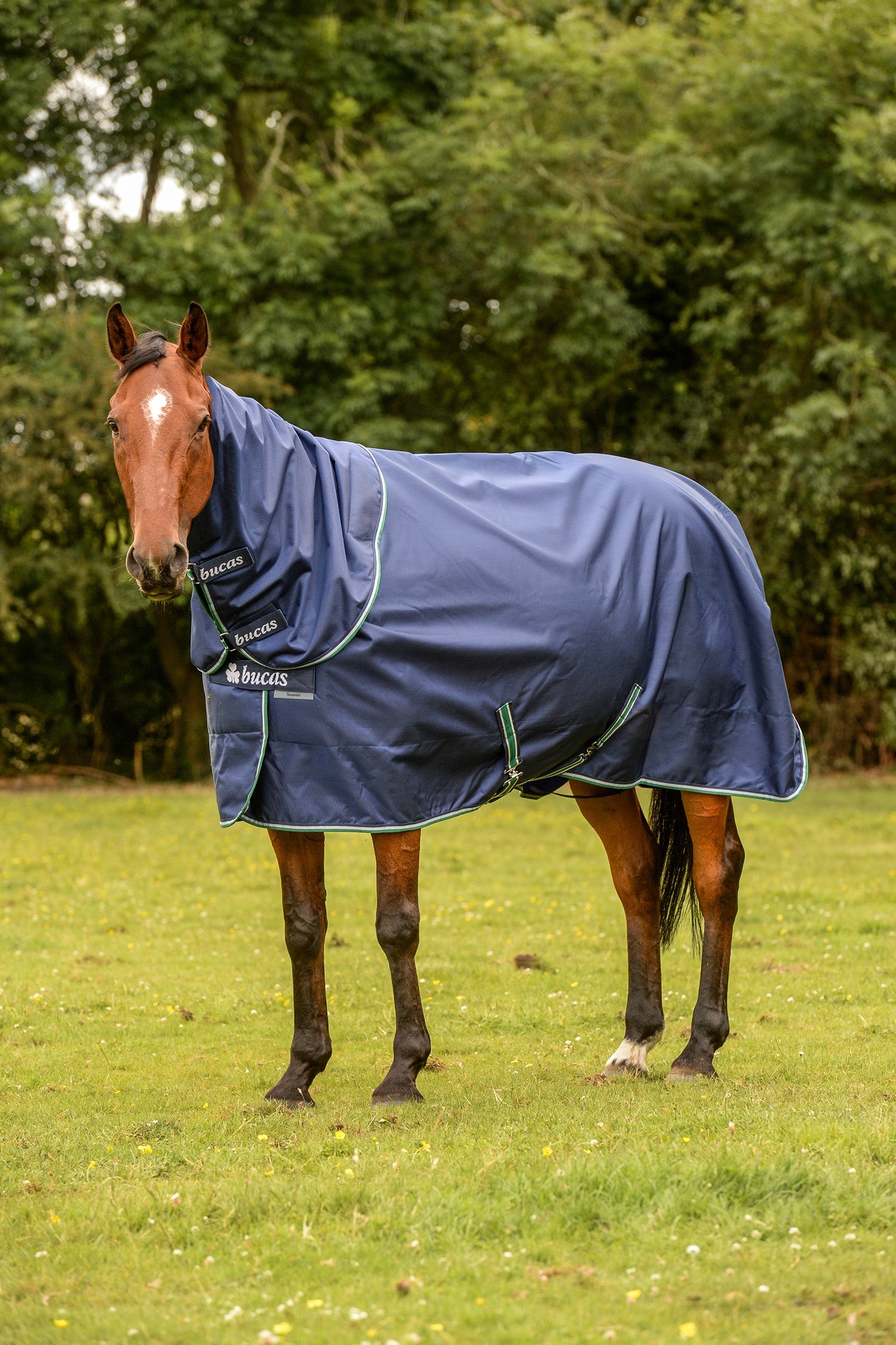 Bucas Smartex Coperta da turnout impermeabile con funzione di raffreddamento, 0g per pony Coperte per cavalli