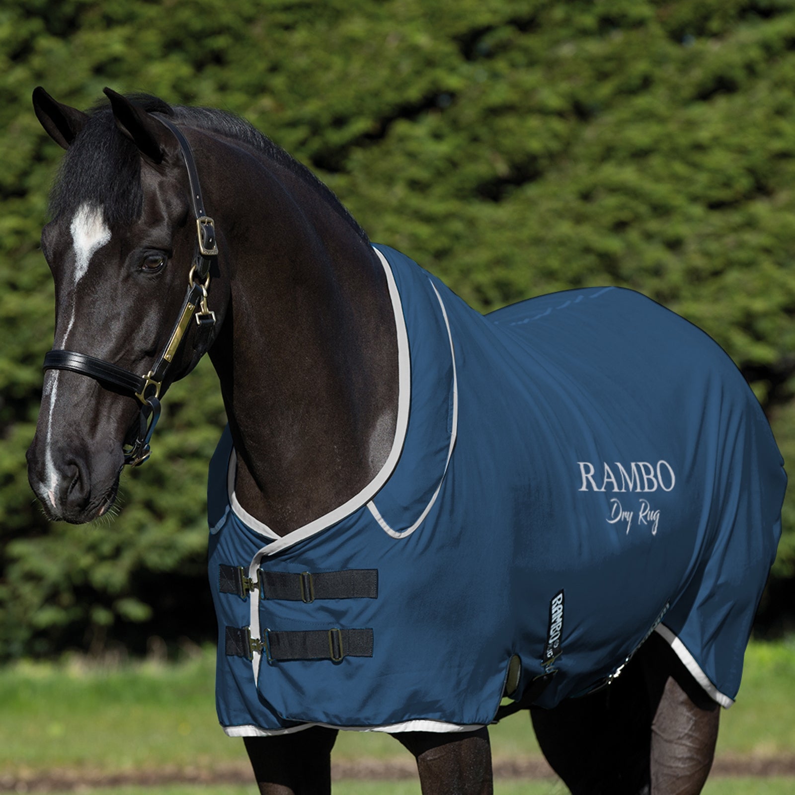Horseware Coperta Rambo Dry Supreme Coperte per cavalli