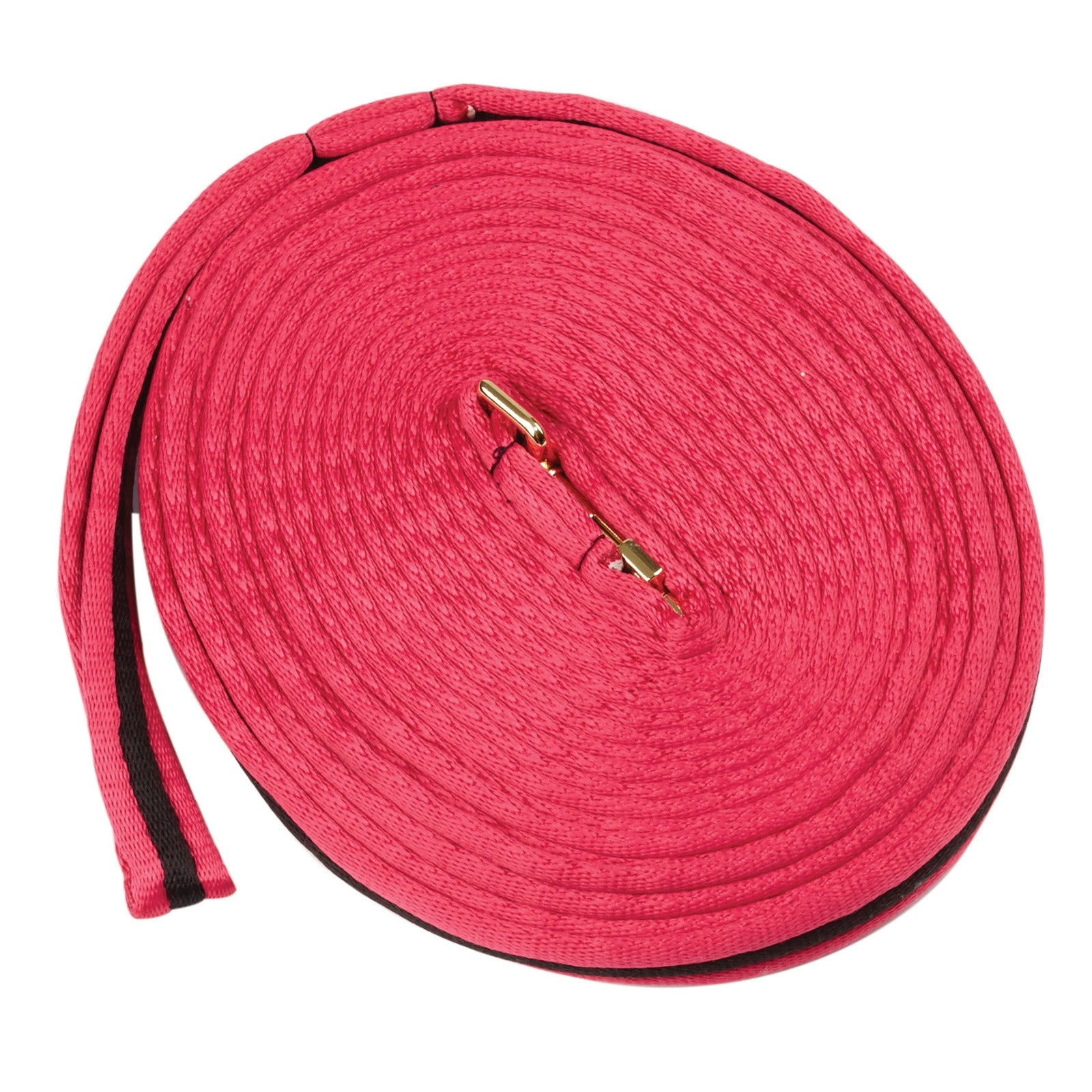 Kincade Brights Two Tone Padded Lunging rein 8m Addestramento del cavallo