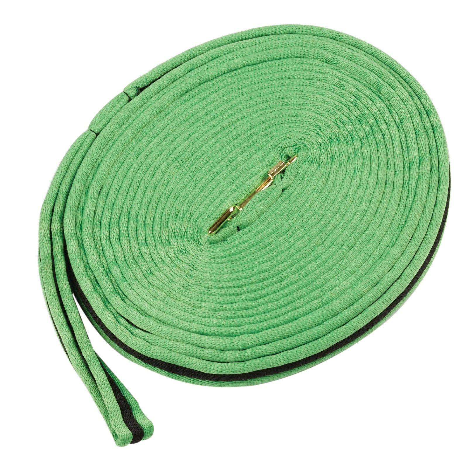 Kincade Brights Two Tone Padded Lunging rein 8m Addestramento del cavallo