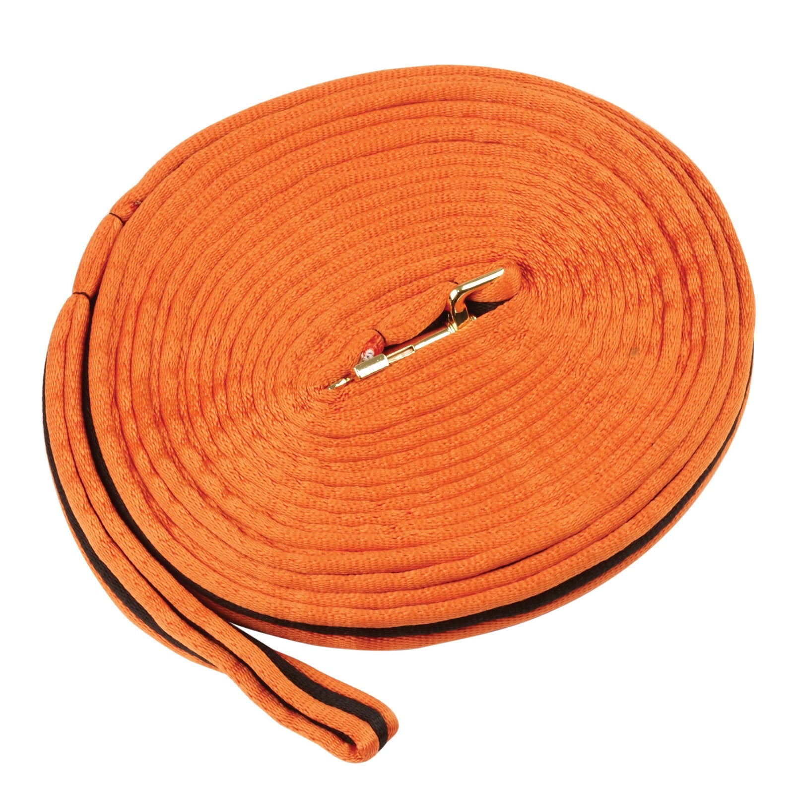 Kincade Brights Two Tone Padded Lunging rein 8m Addestramento del cavallo